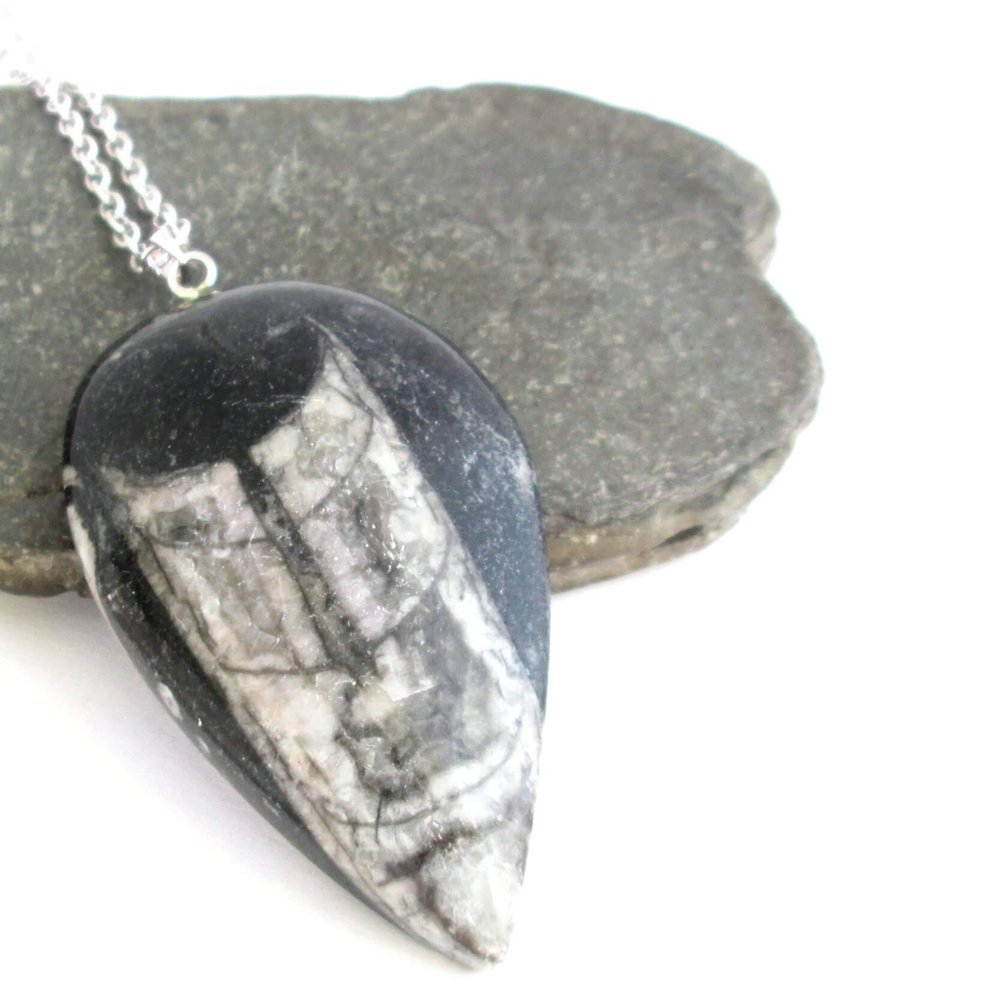 Real Orthoceras Jewelry: Large Fossil Pendant, Sterling Silver —  CindyLouWho2