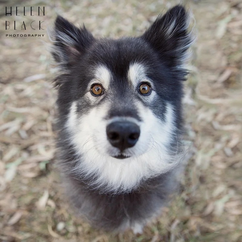 Mikka_03.jpg