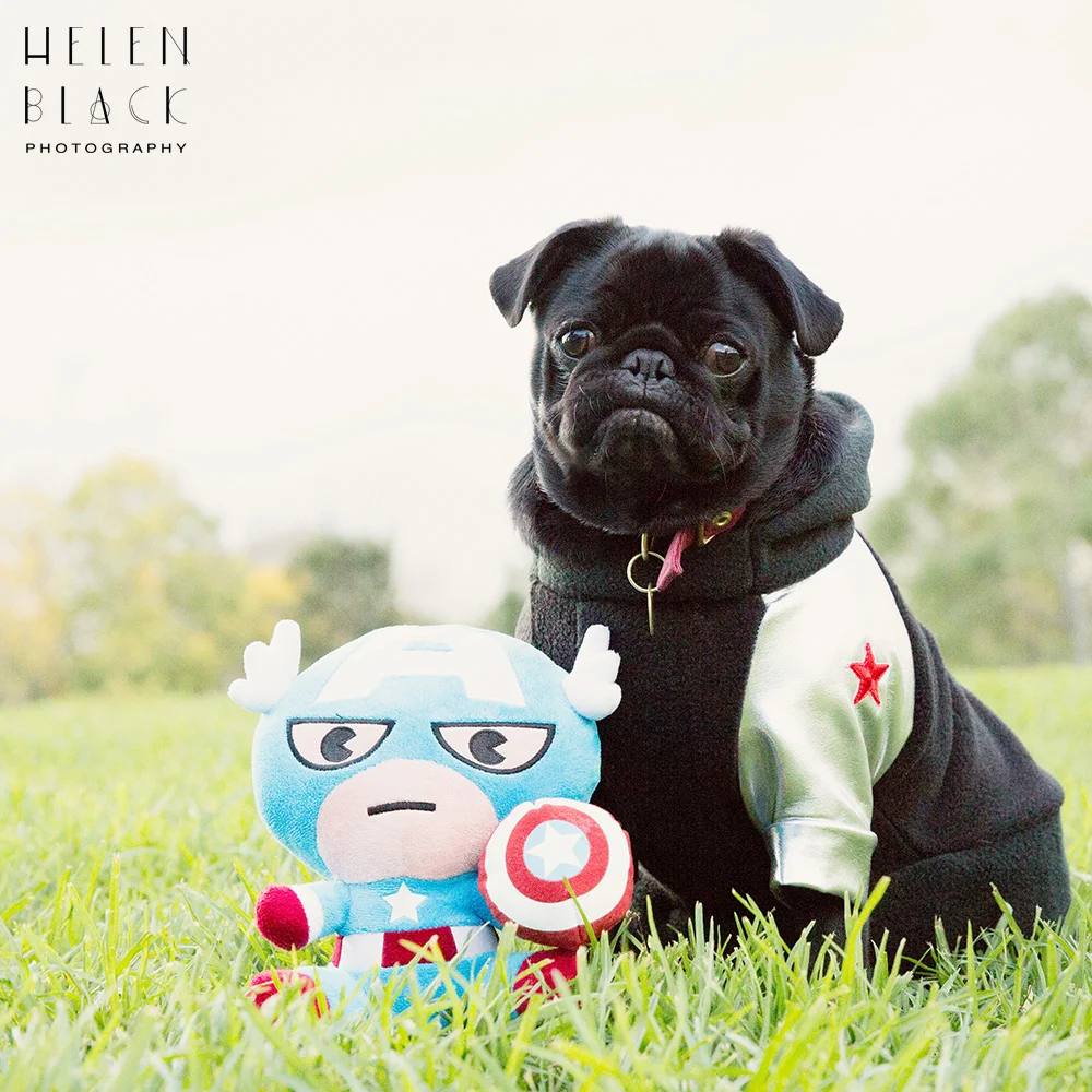 Bucky_09.jpg