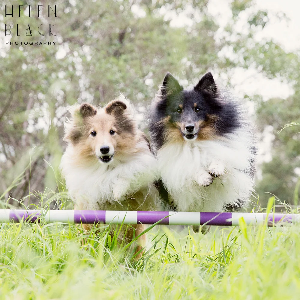 Penny & Rafiki16.jpg
