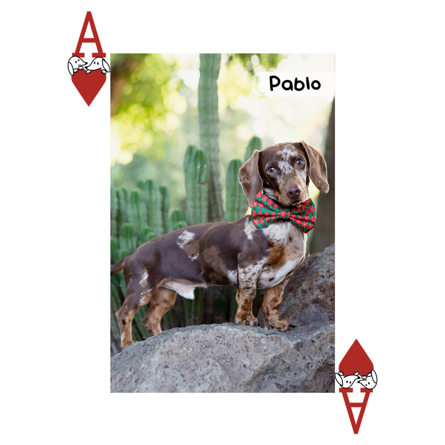 Card - Hearts A - Pablo.jpg