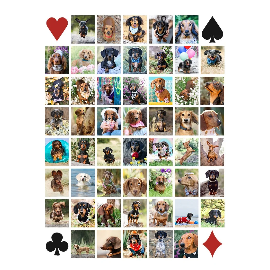 Box - Template_fixed_new 2nd edition.jpg