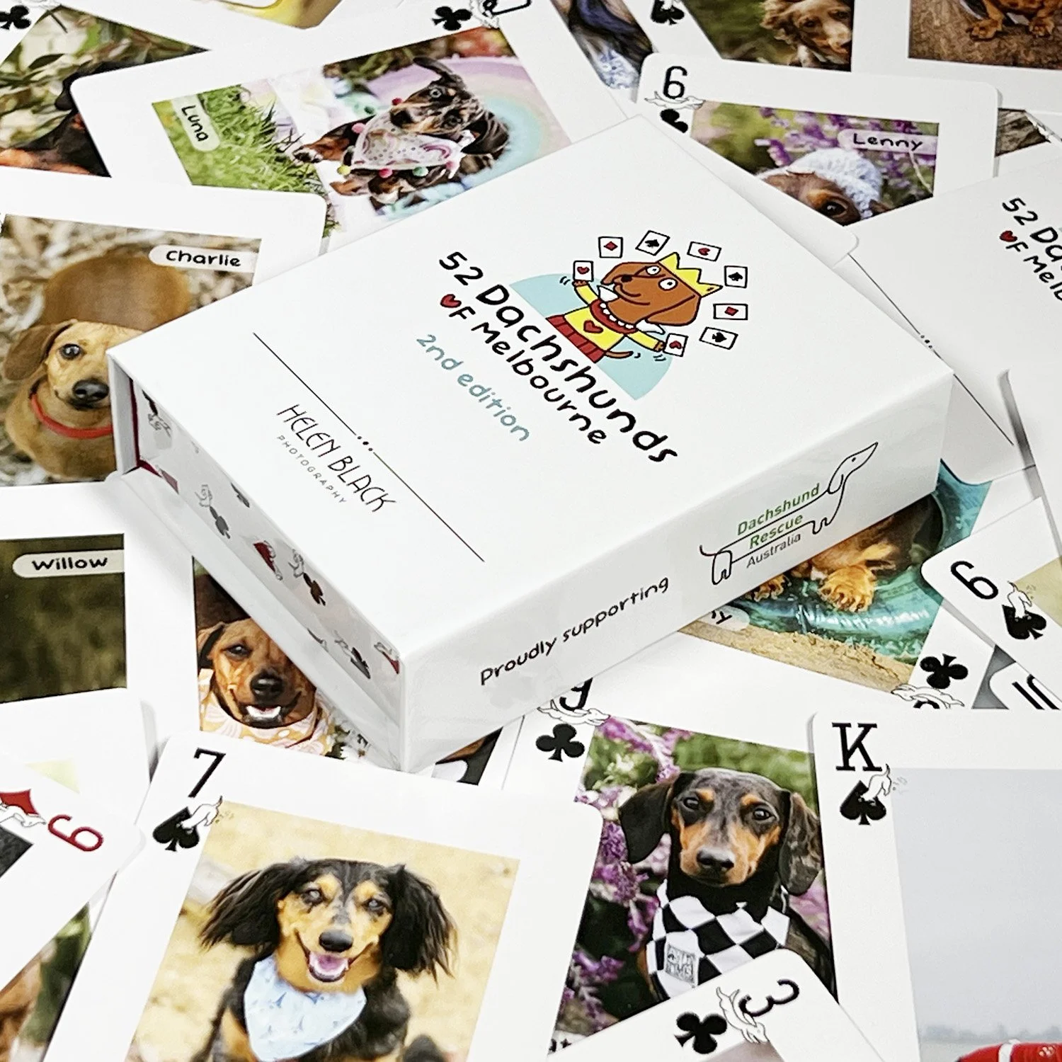 52 dachshunds of melbourne cards2.jpg