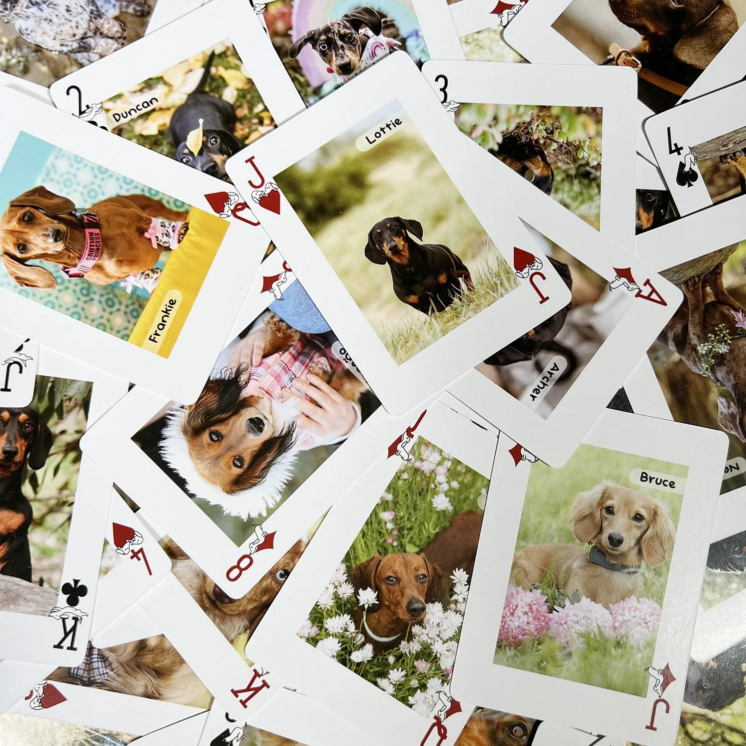 52 dachshunds of melbourne cards9.jpg