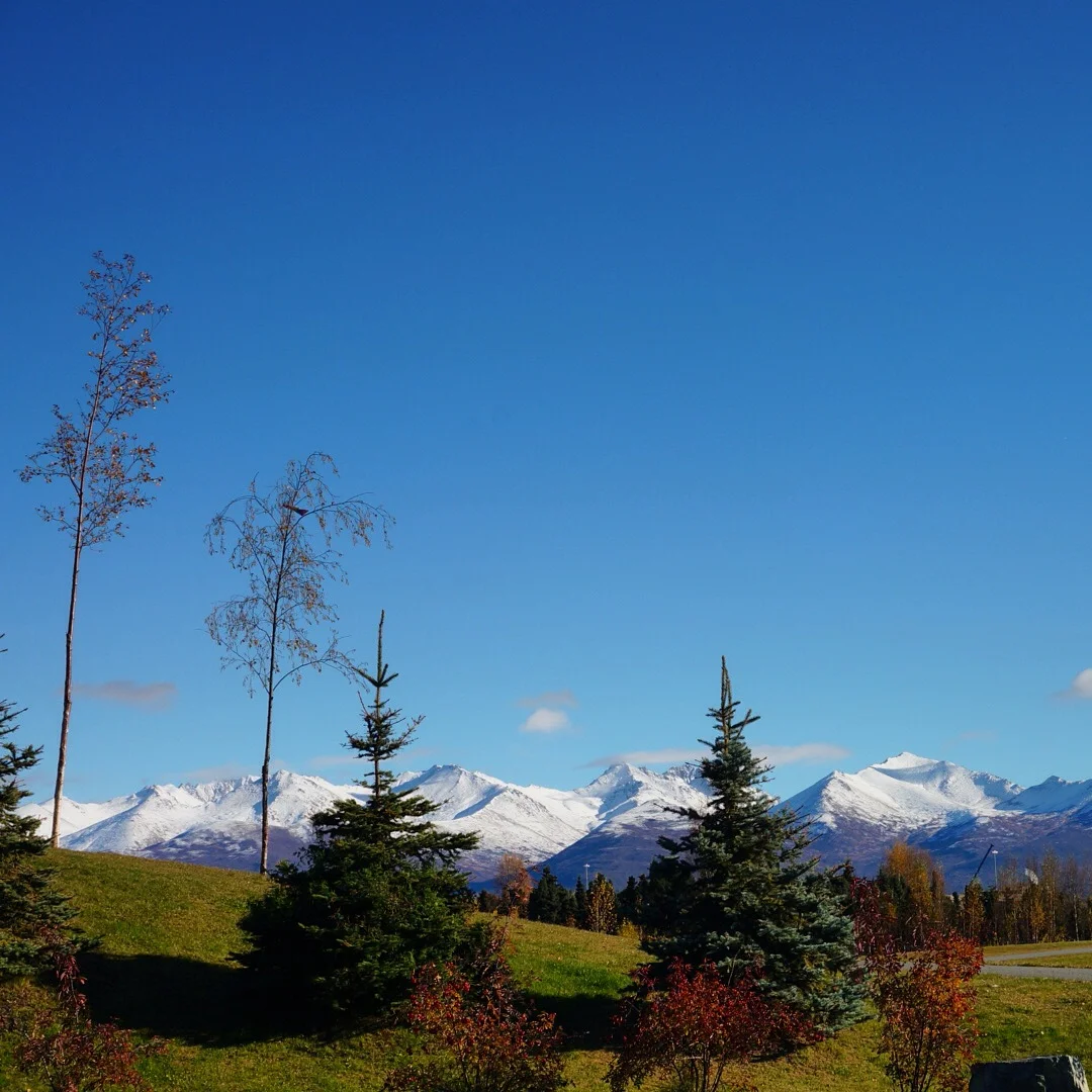 But Anchorage sure is looking pretty.