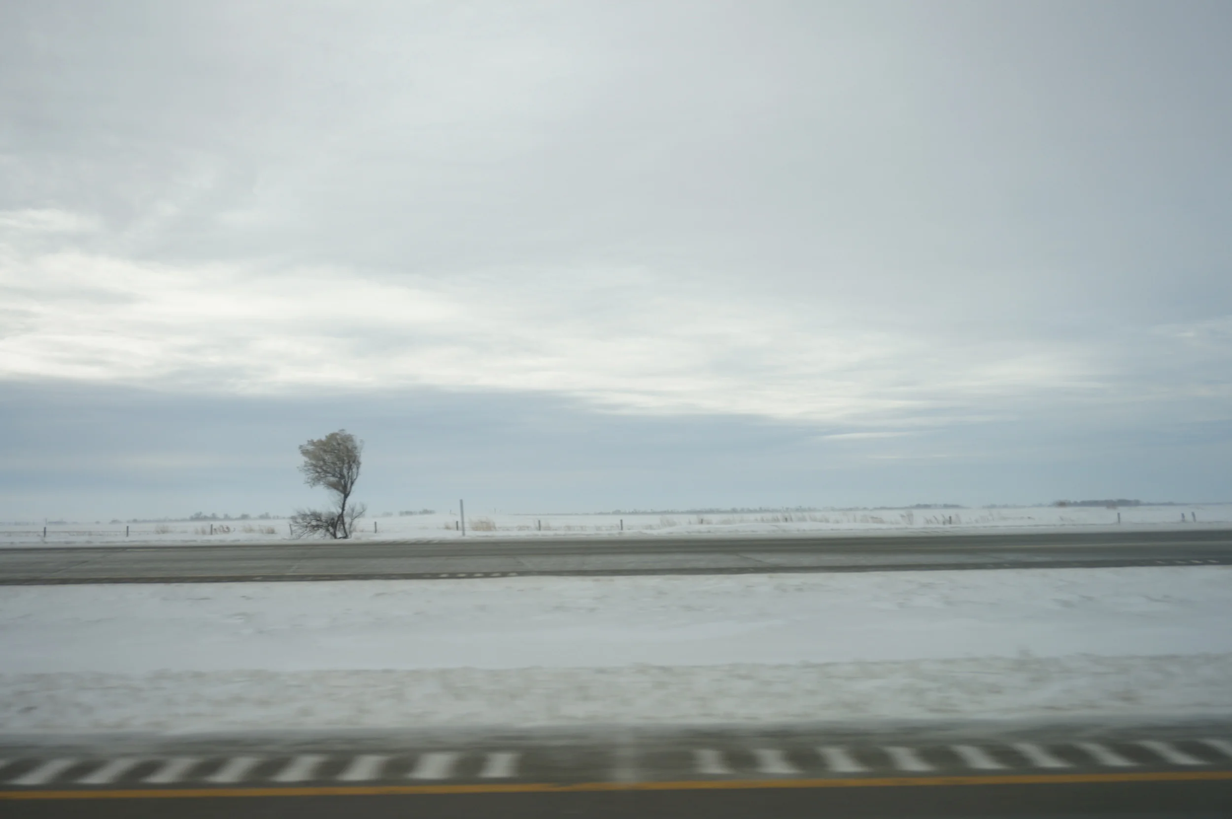 I loved this photo of our drive in North Dakota. Frigid cold and a lone tree dead-set on survival.