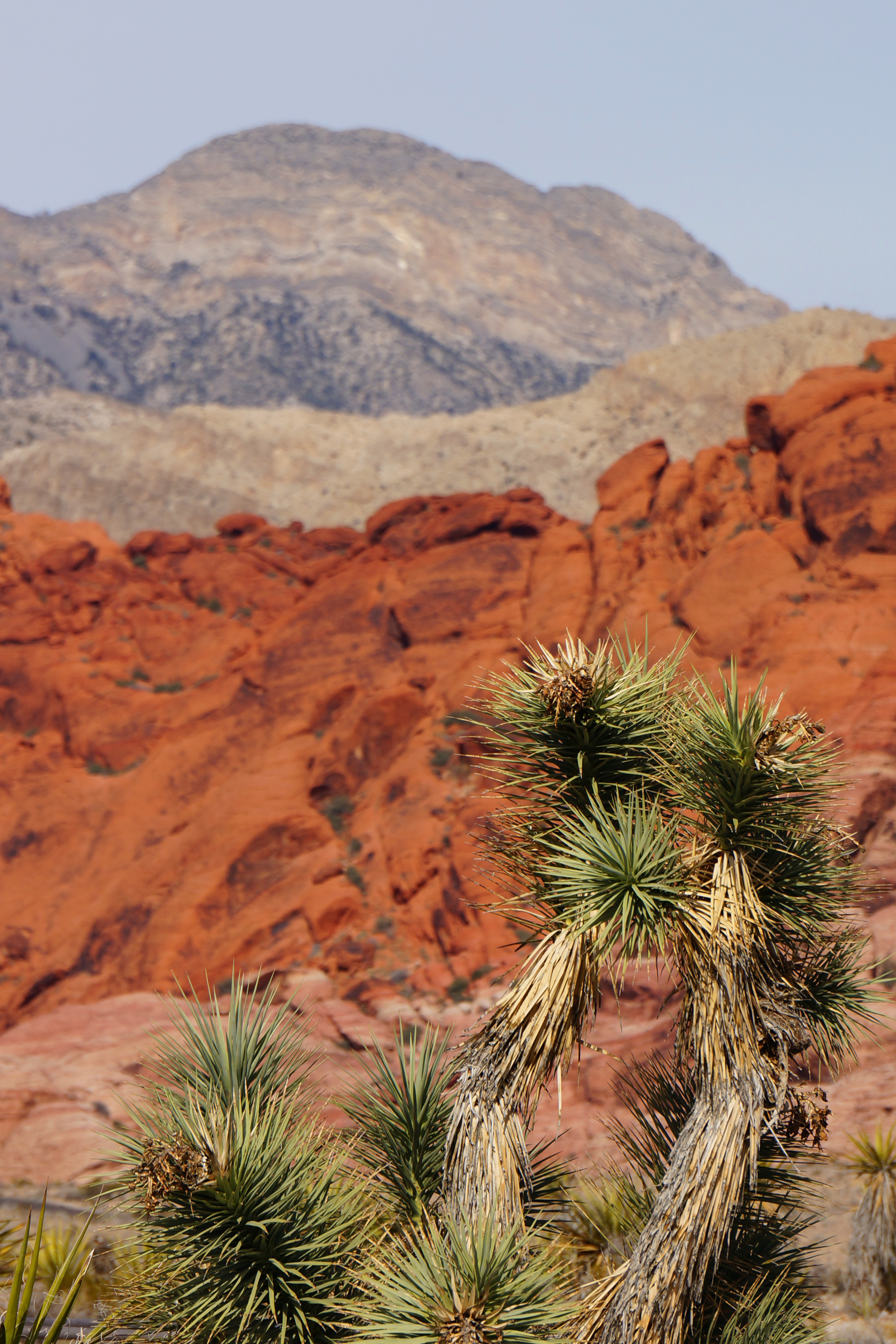 Red Rock Canyon.
