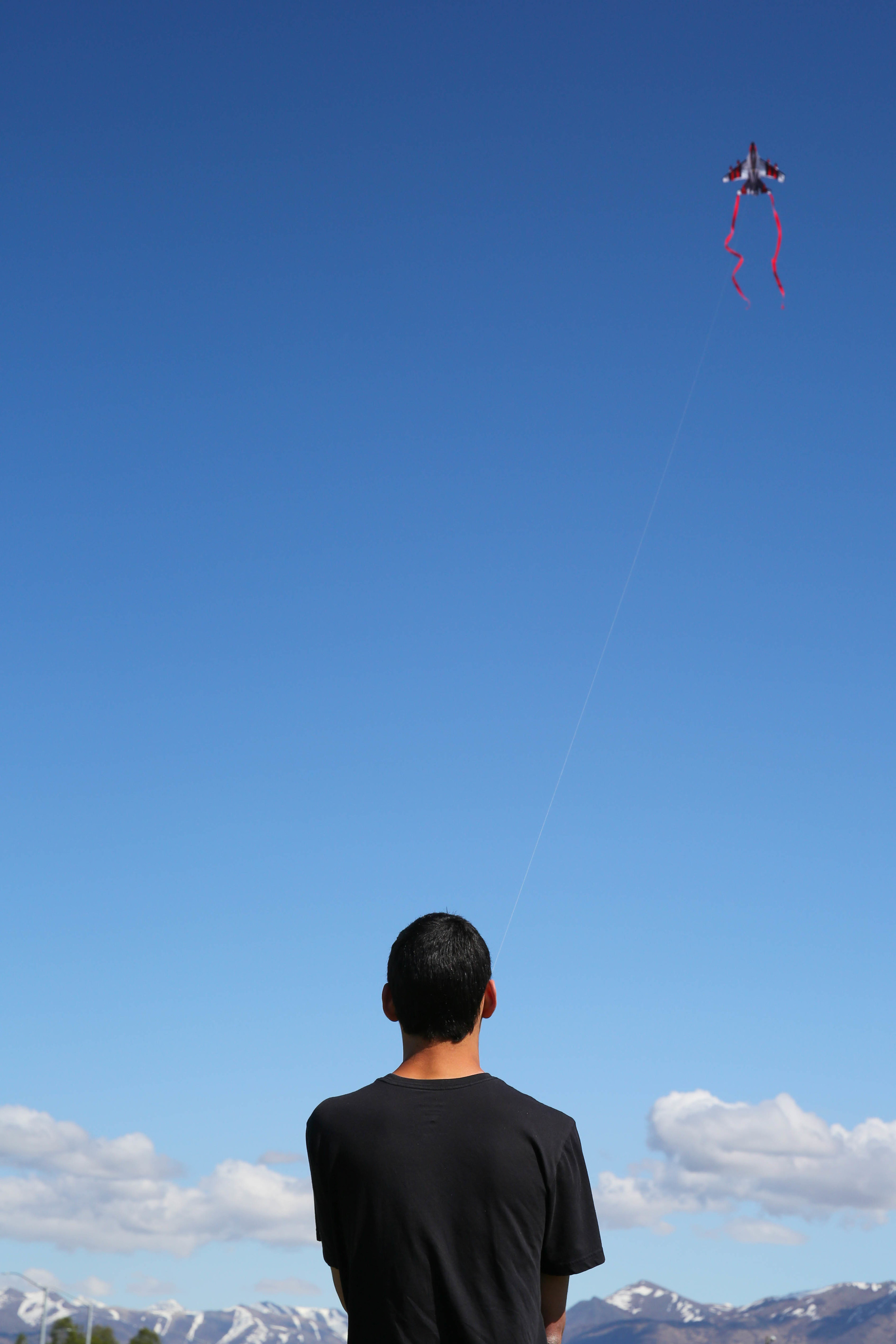 Kite flying at the Delainey Park Strip.