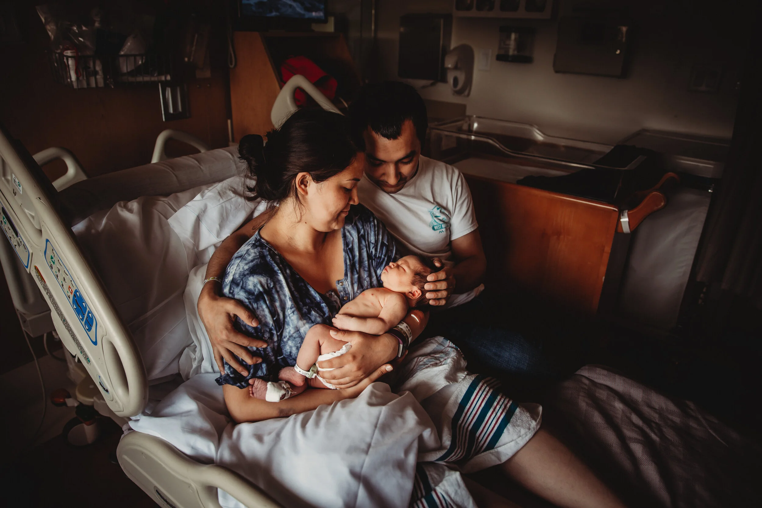 Baby Wren: Fresh 48