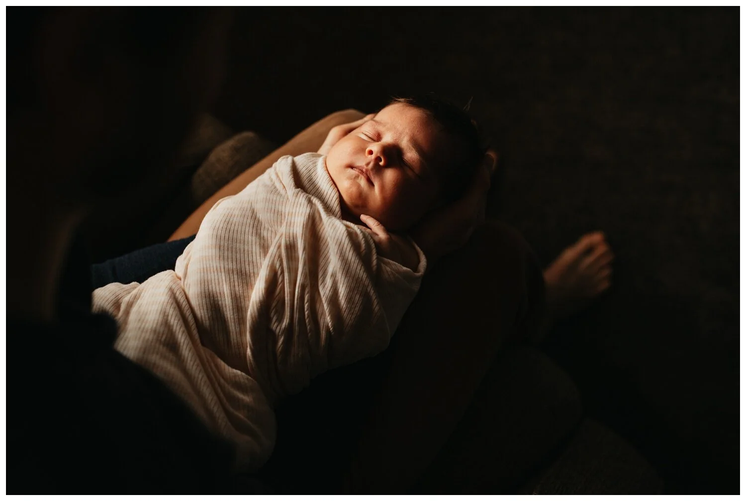 1-Baby Bea-52_WEB.jpg