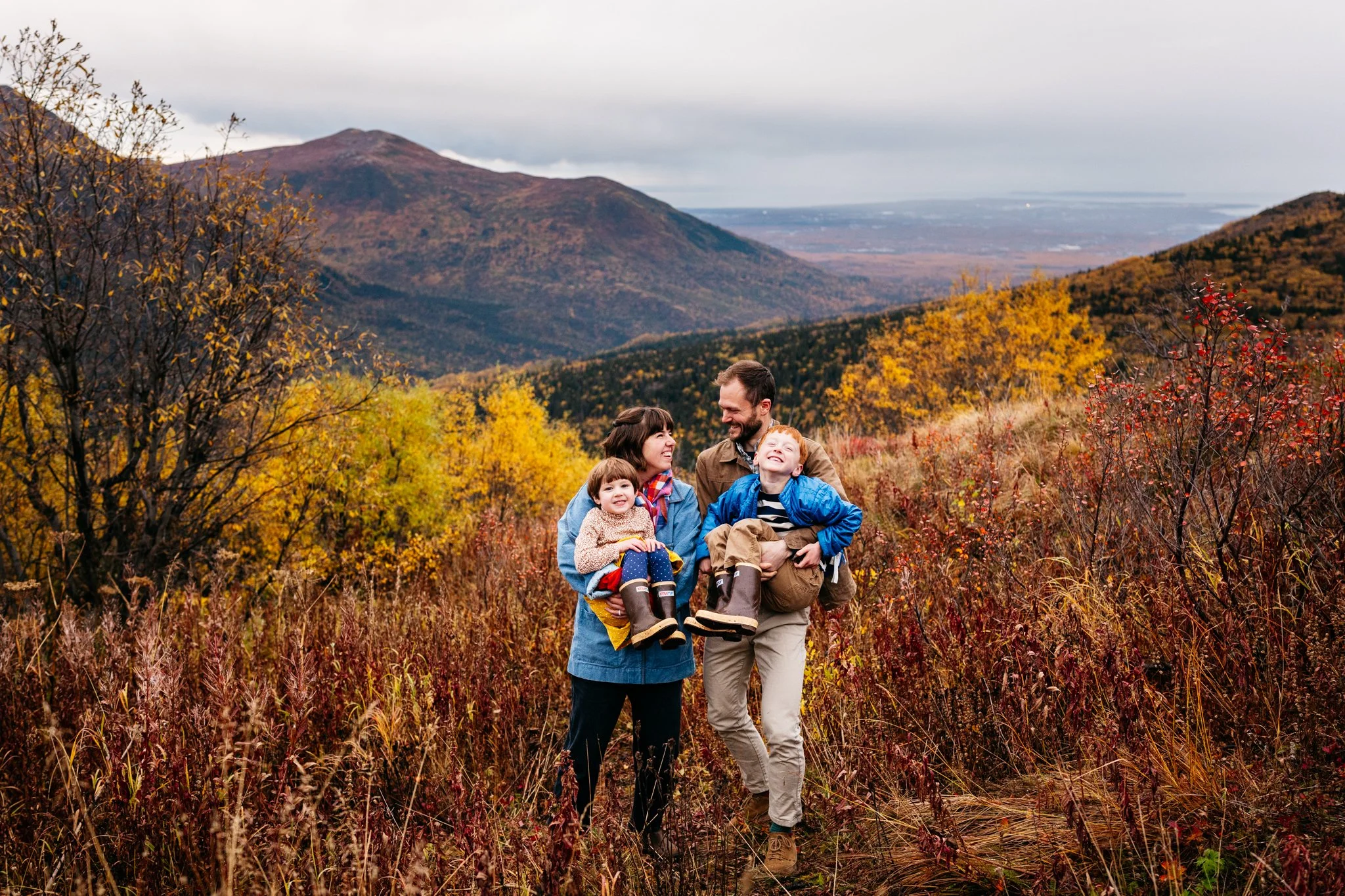 1-Fall Foliage Web3.jpg