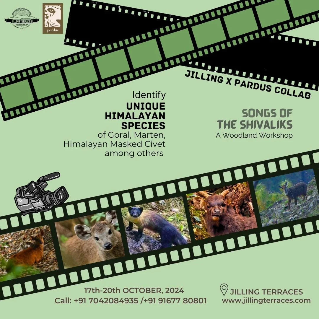 WhatsApp Image 2024-10-10 at 16.03.49.jpeg