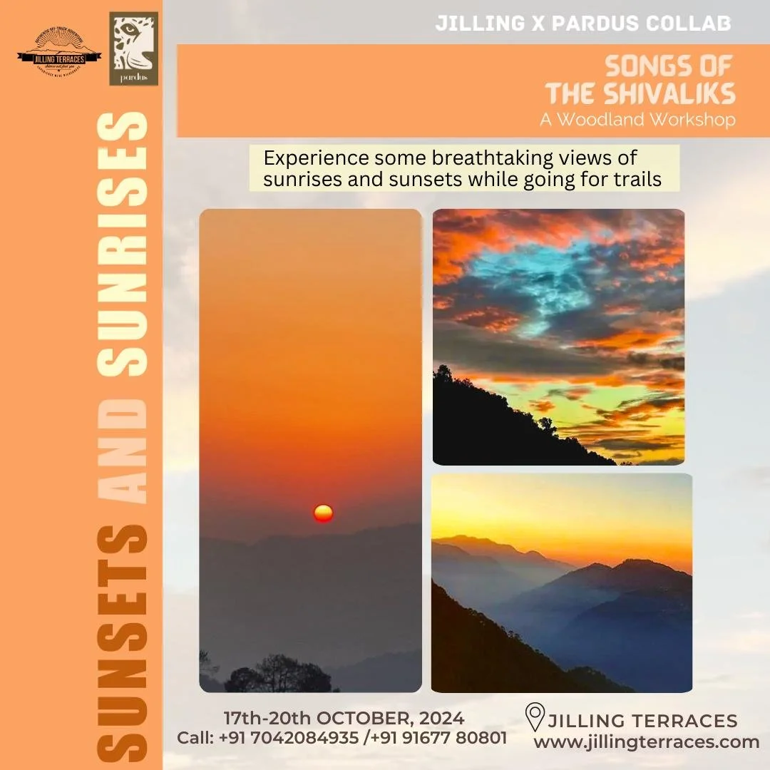 WhatsApp Image 2024-10-10 at 16.03.49 (2).jpeg