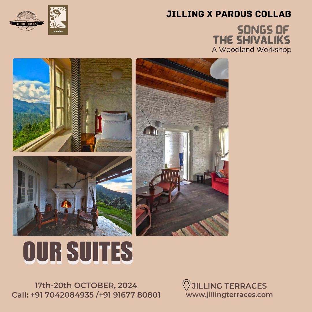 WhatsApp Image 2024-10-10 at 16.03.49 (1).jpeg