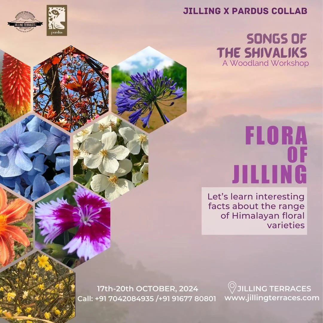 WhatsApp Image 2024-10-10 at 16.03.48.jpeg