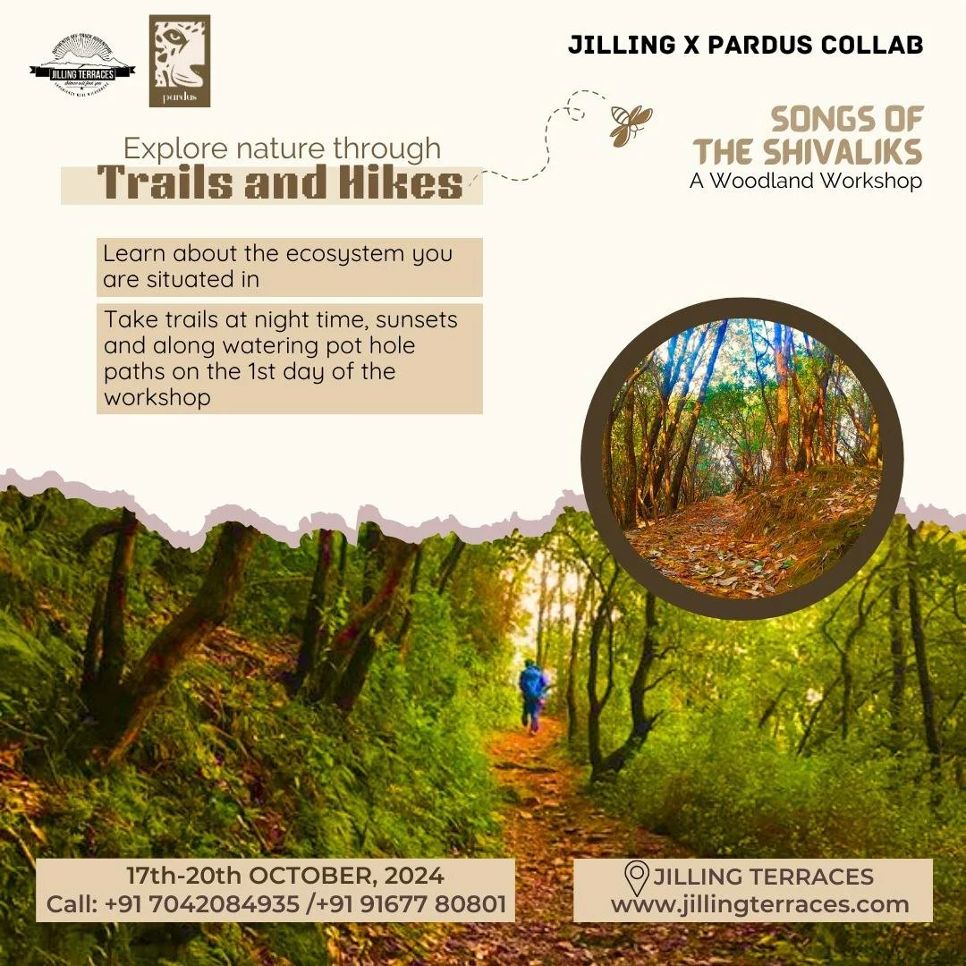 WhatsApp Image 2024-10-10 at 16.03.48 (1).jpeg