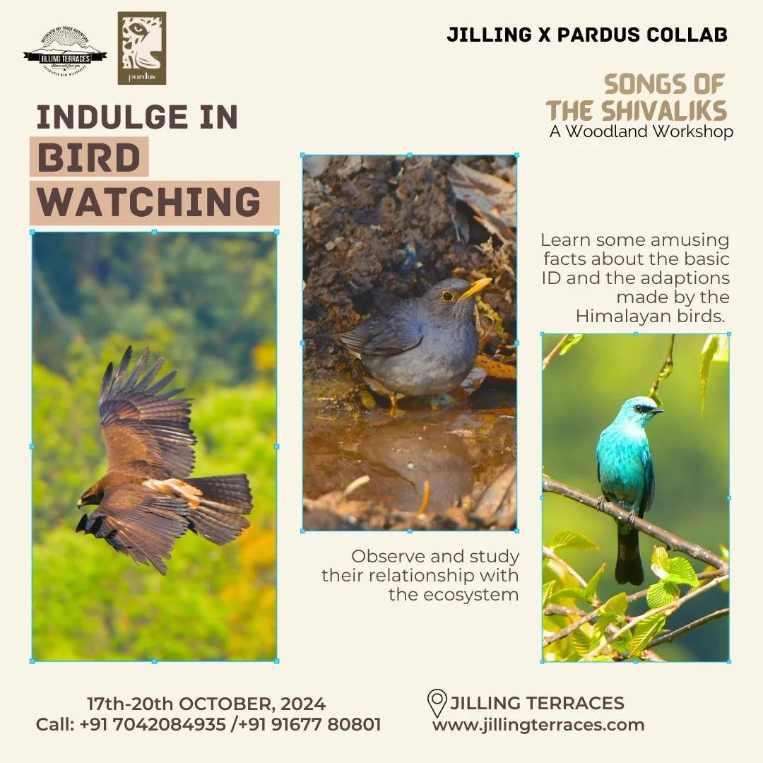 WhatsApp Image 2024-10-10 at 16.03.47.jpeg