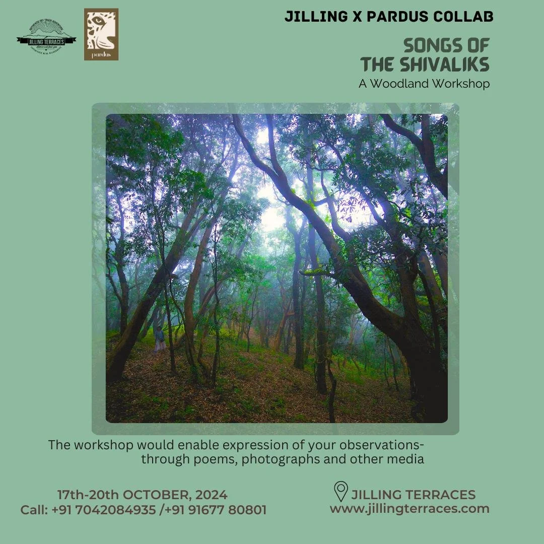 WhatsApp Image 2024-10-10 at 16.03.47 (1).jpeg