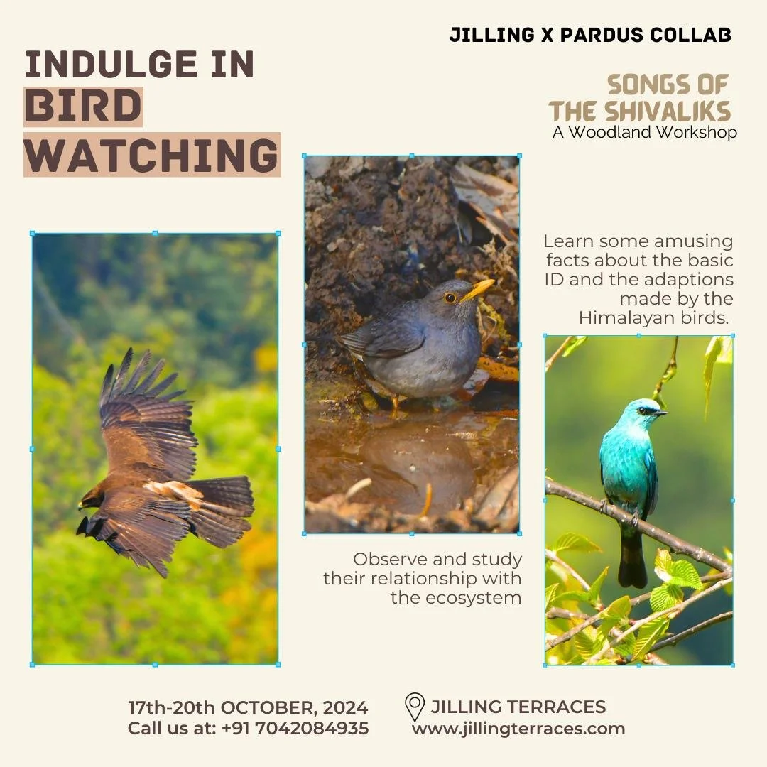 WhatsApp Image 2024-10-10 at 16.03.46.jpeg