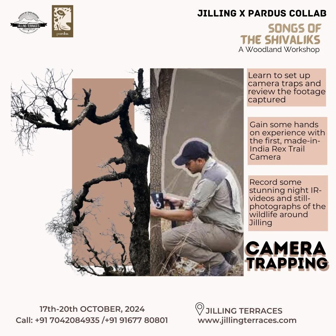 WhatsApp Image 2024-10-10 at 16.03.46 (2).jpeg