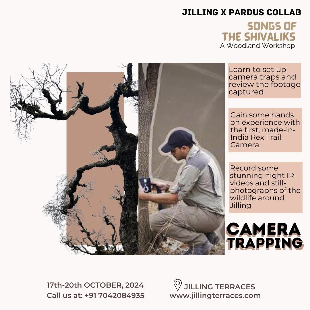 WhatsApp Image 2024-10-10 at 16.03.46 (1).jpeg