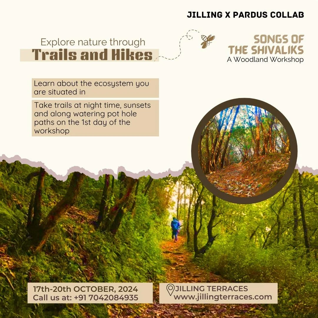 WhatsApp Image 2024-10-10 at 16.03.45.jpeg