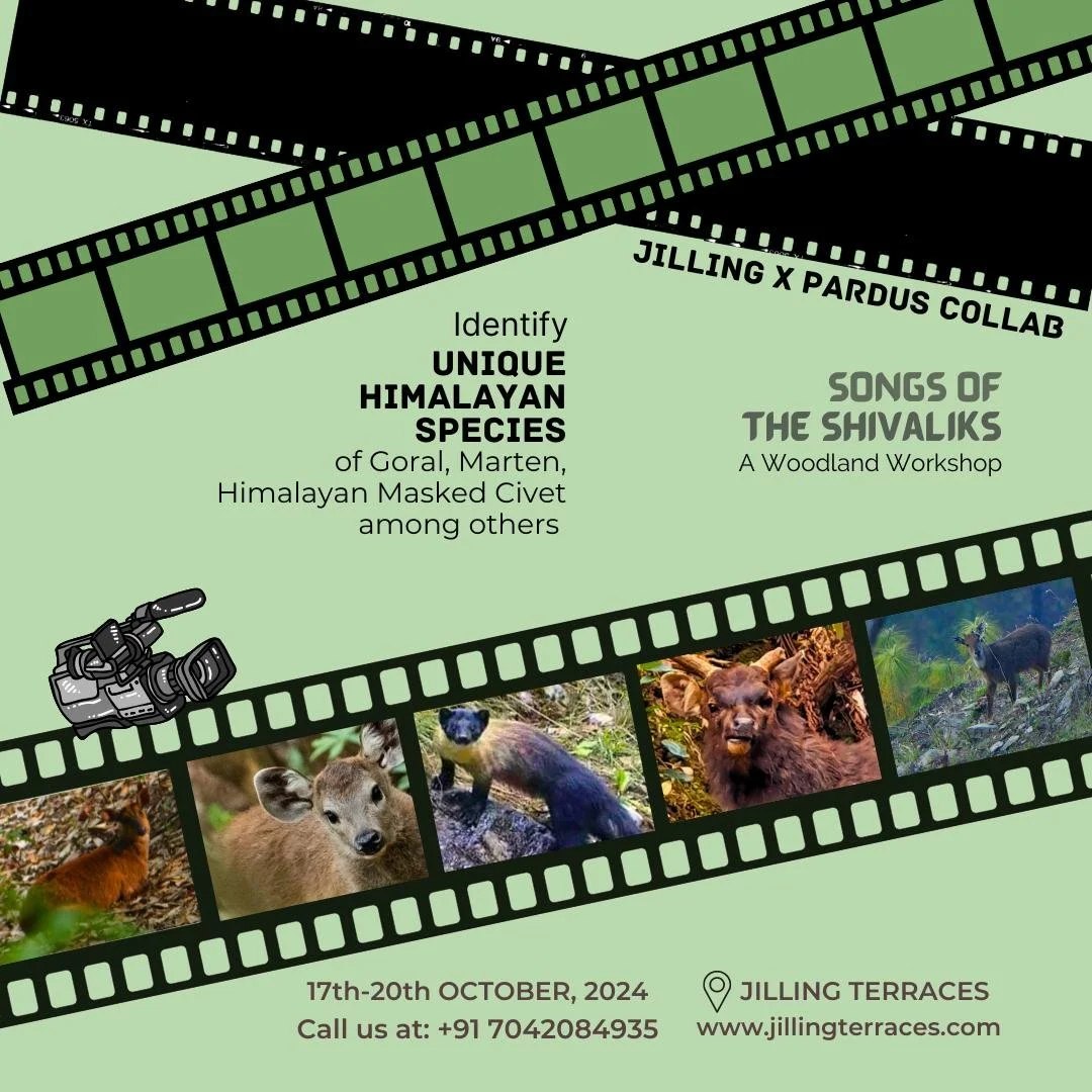 WhatsApp Image 2024-10-10 at 16.03.45 (1).jpeg