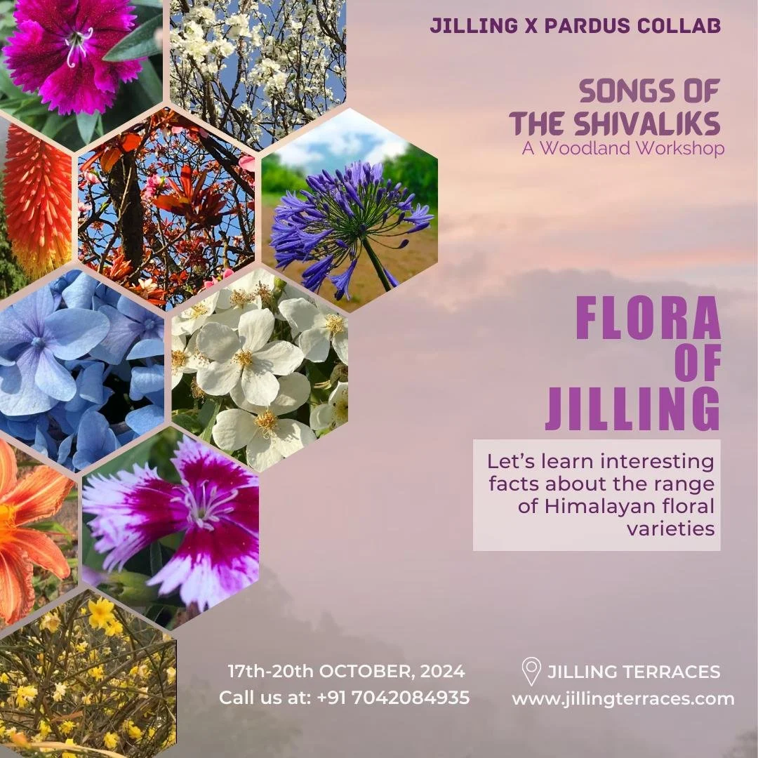 WhatsApp Image 2024-10-10 at 16.03.44.jpeg