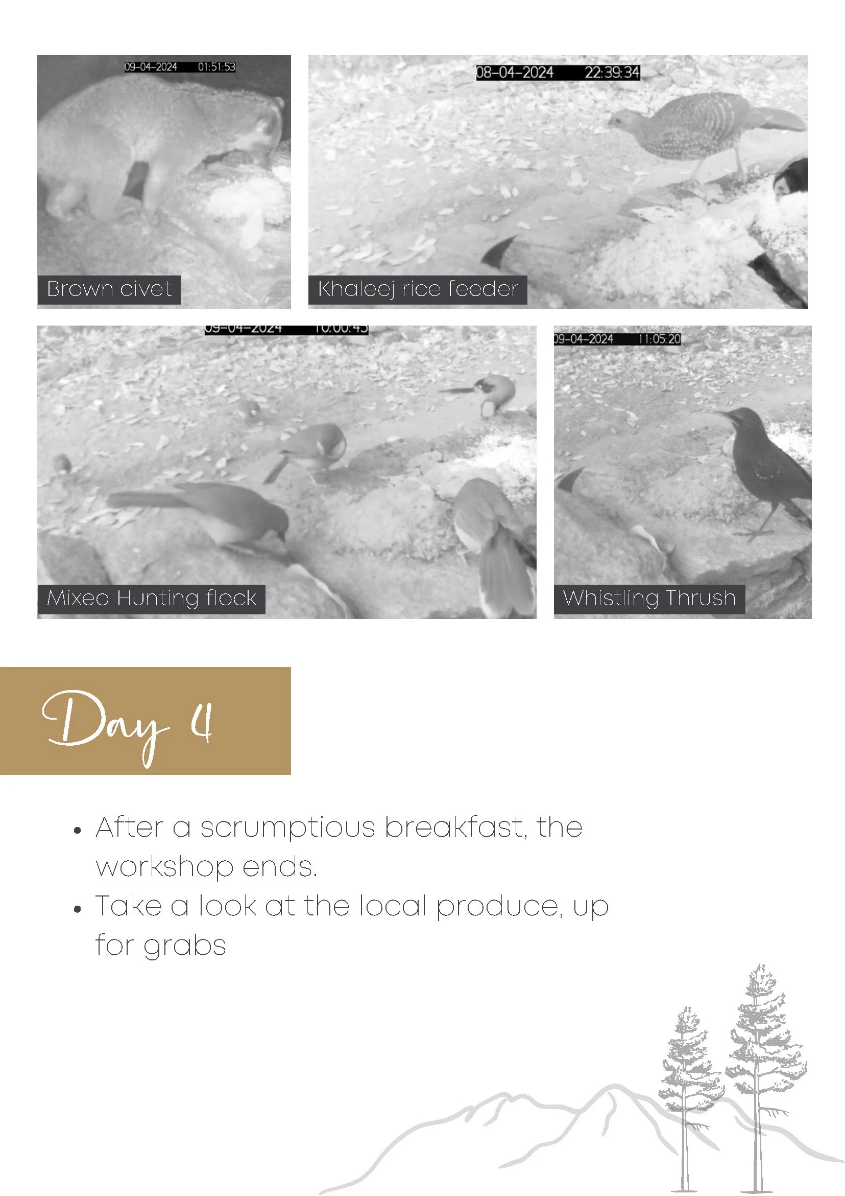 jilling X pardus brochure (1)_Page_5.jpg