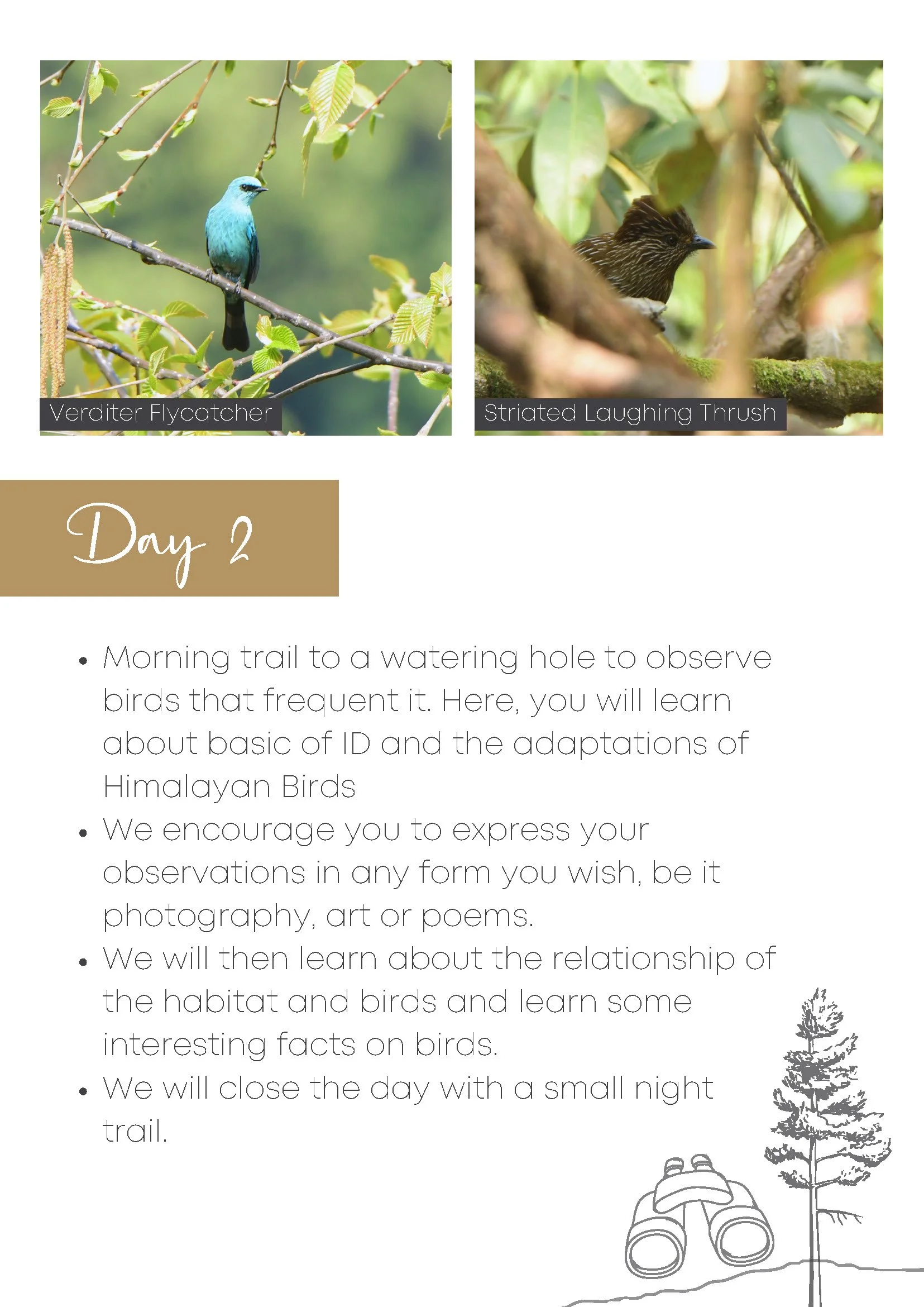 jilling X pardus brochure (1)_Page_3.jpg