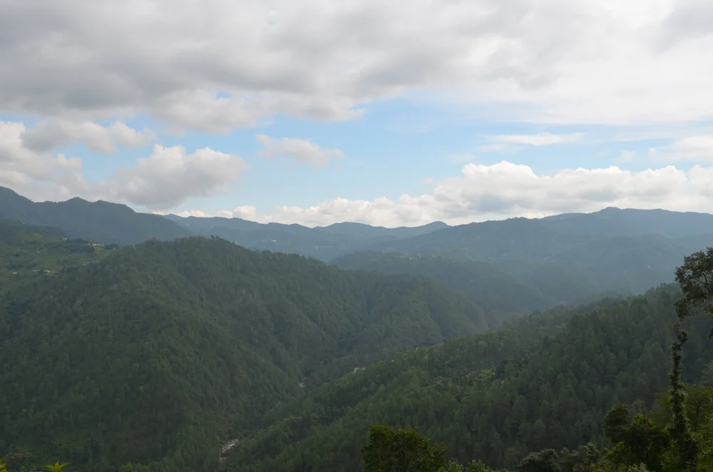 DSC_0248Jilling Terraces Paniyali Photo.JPG
