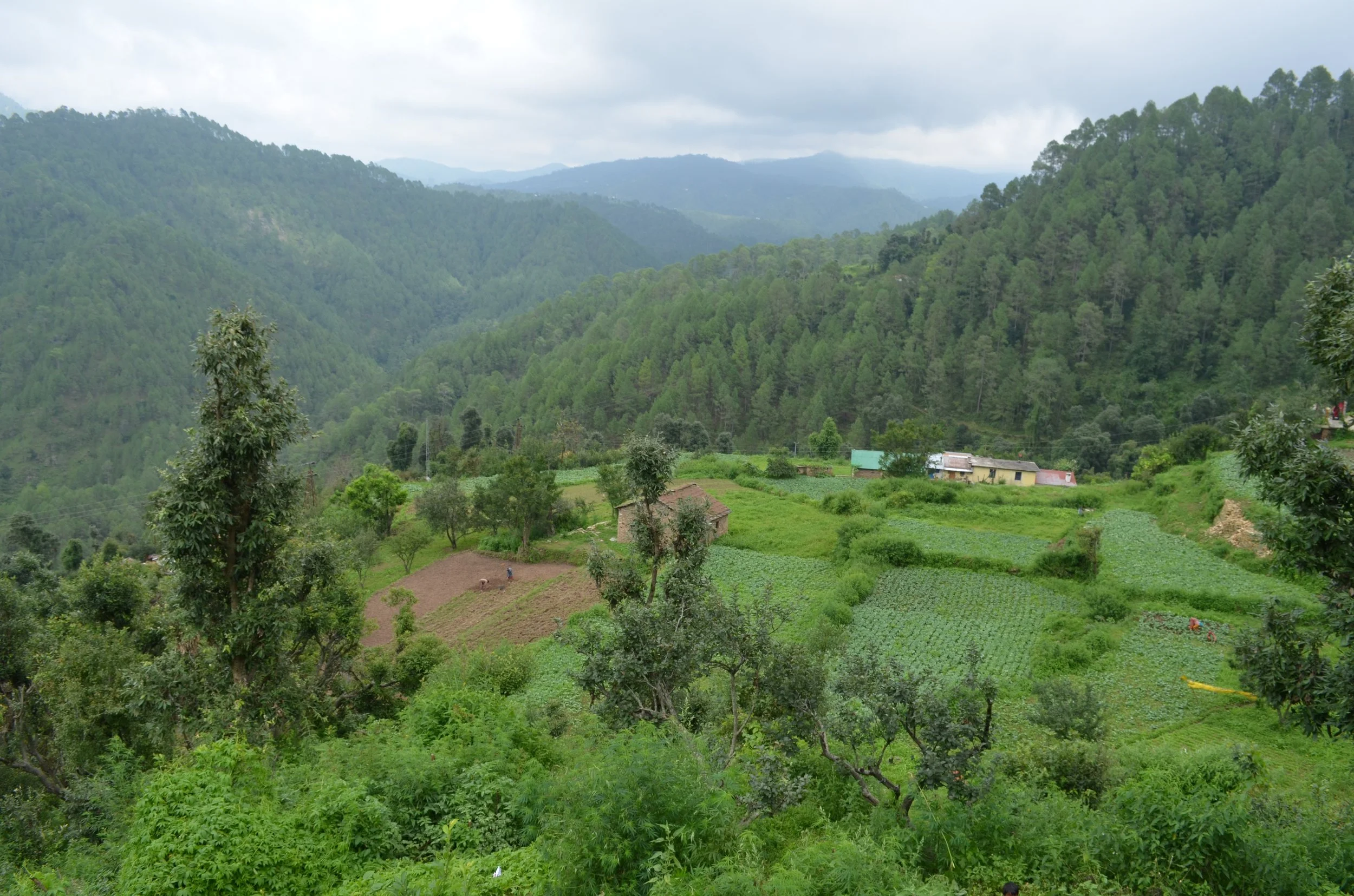 DSC_0352 JaiVi Terrace Paniyali Photo.JPG