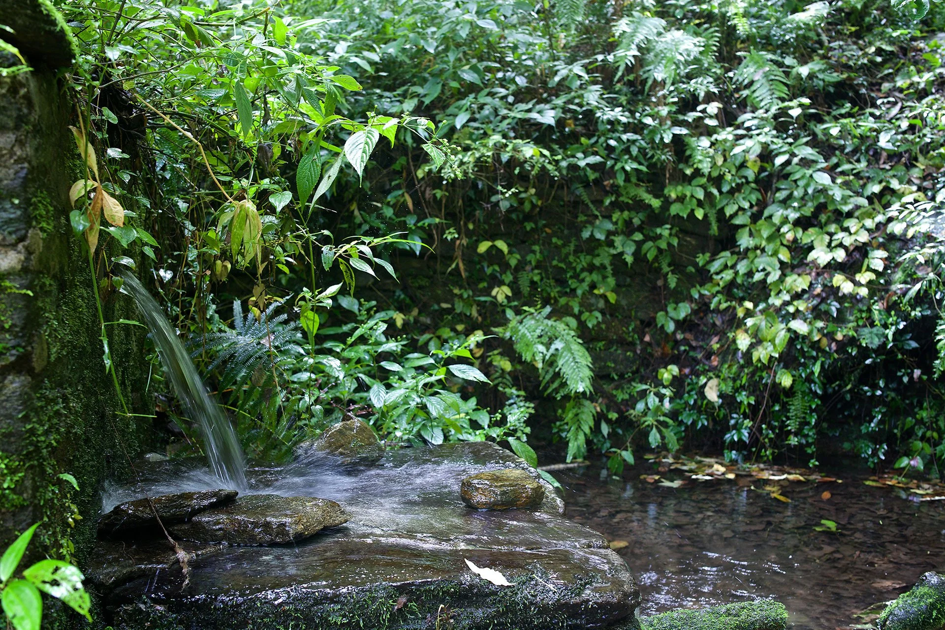 29JaiVi Terrace Kate Photo.jpg