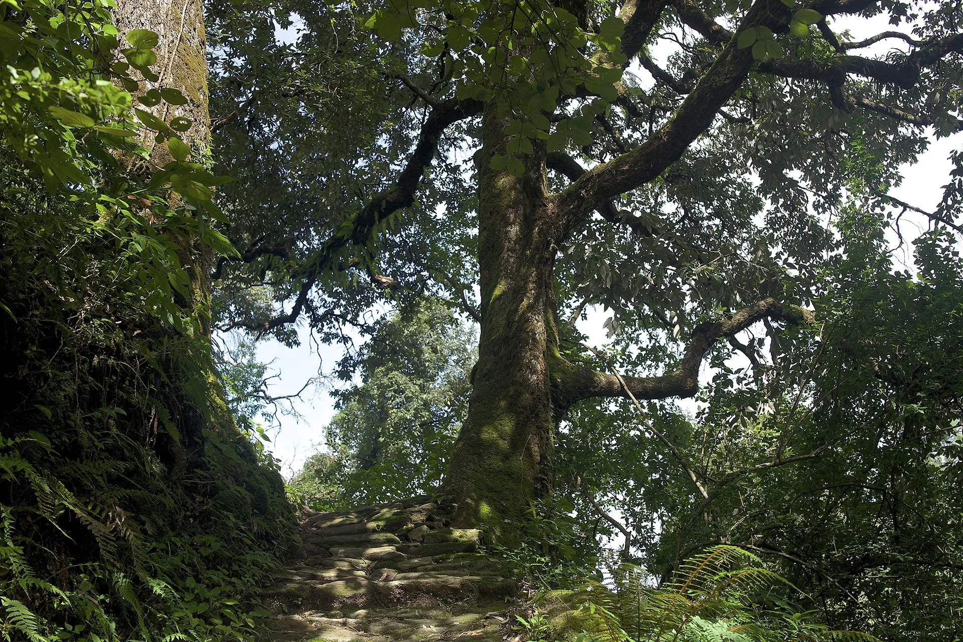 27 JaiVi Terrace Kate Photo.jpg