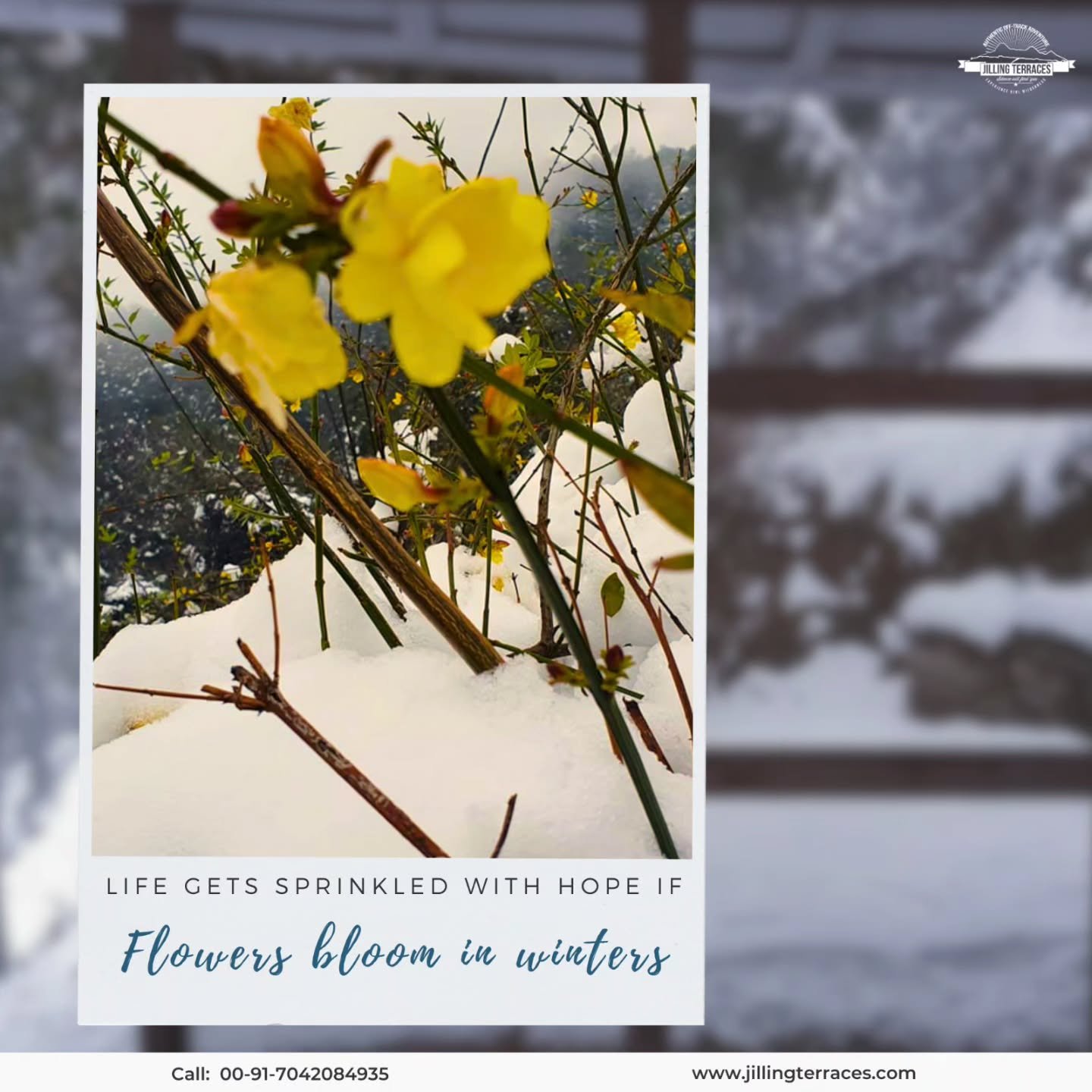 Winter wraps us in her mighty embrace,

Icy and righteous she bears down and births newness of life in due season.

Powerless to resist, we fall into her bosom thankful for a soft landing made of vision and hope.
.
.
#bloom #bloominwinter #winterbeau
