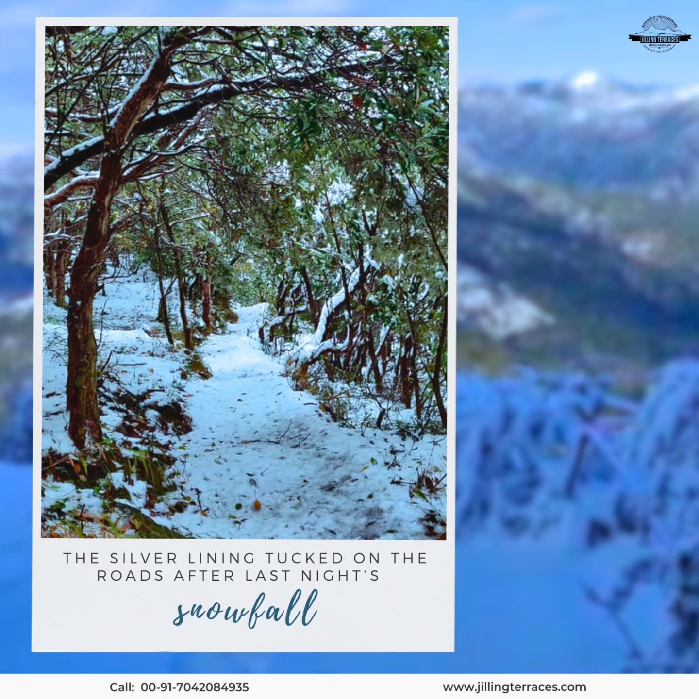 On winter&rsquo;s margin, see the small birds now
With half-forged memories come flocking home
To gardens famous for their charity.
The green globe&rsquo;s broken; vines like tangled veins
Hang at the entrance to the silent wood.
 -Mary Oliver
.
.
#w
