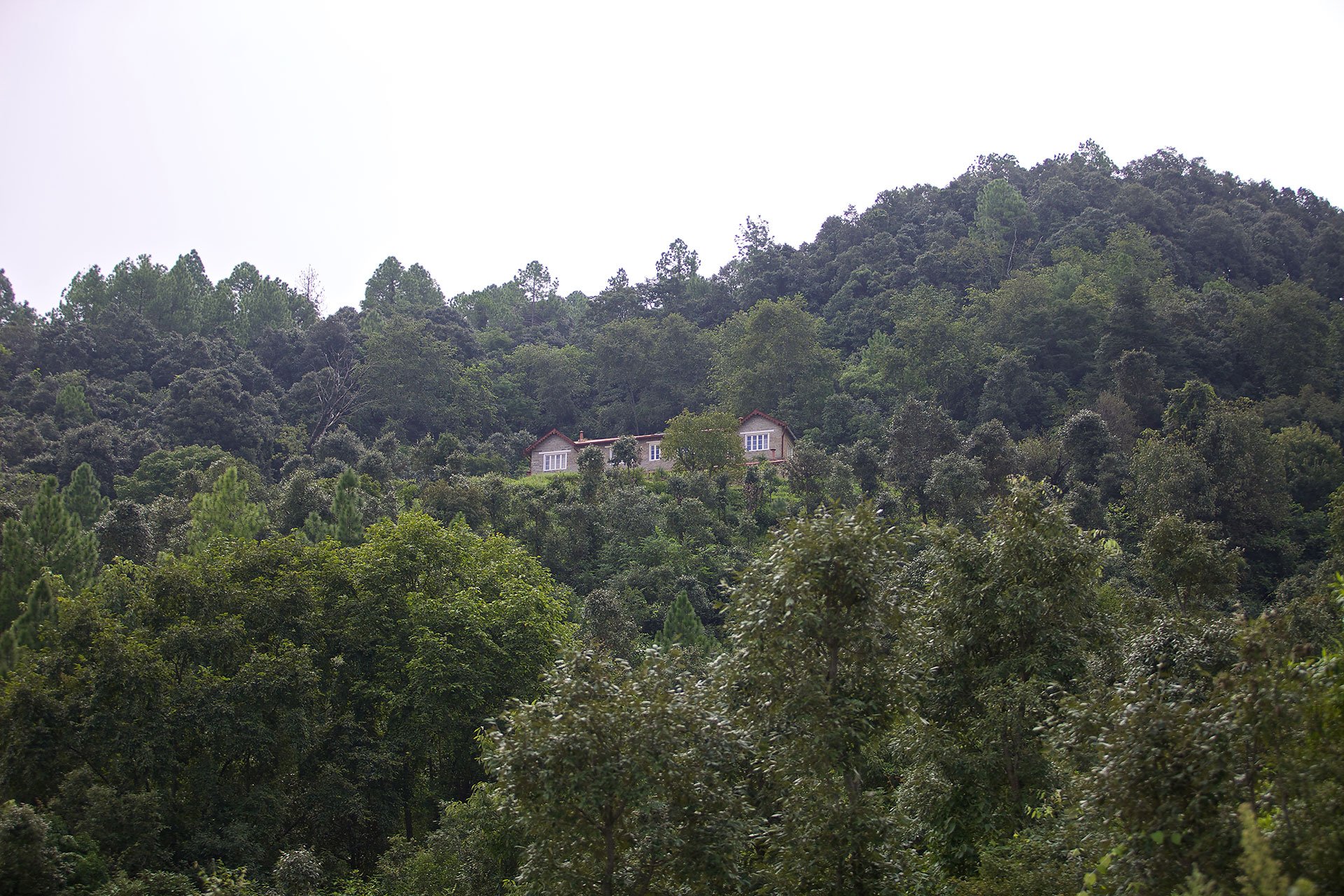 A house situated on a hillside surrounded by dense green forest.