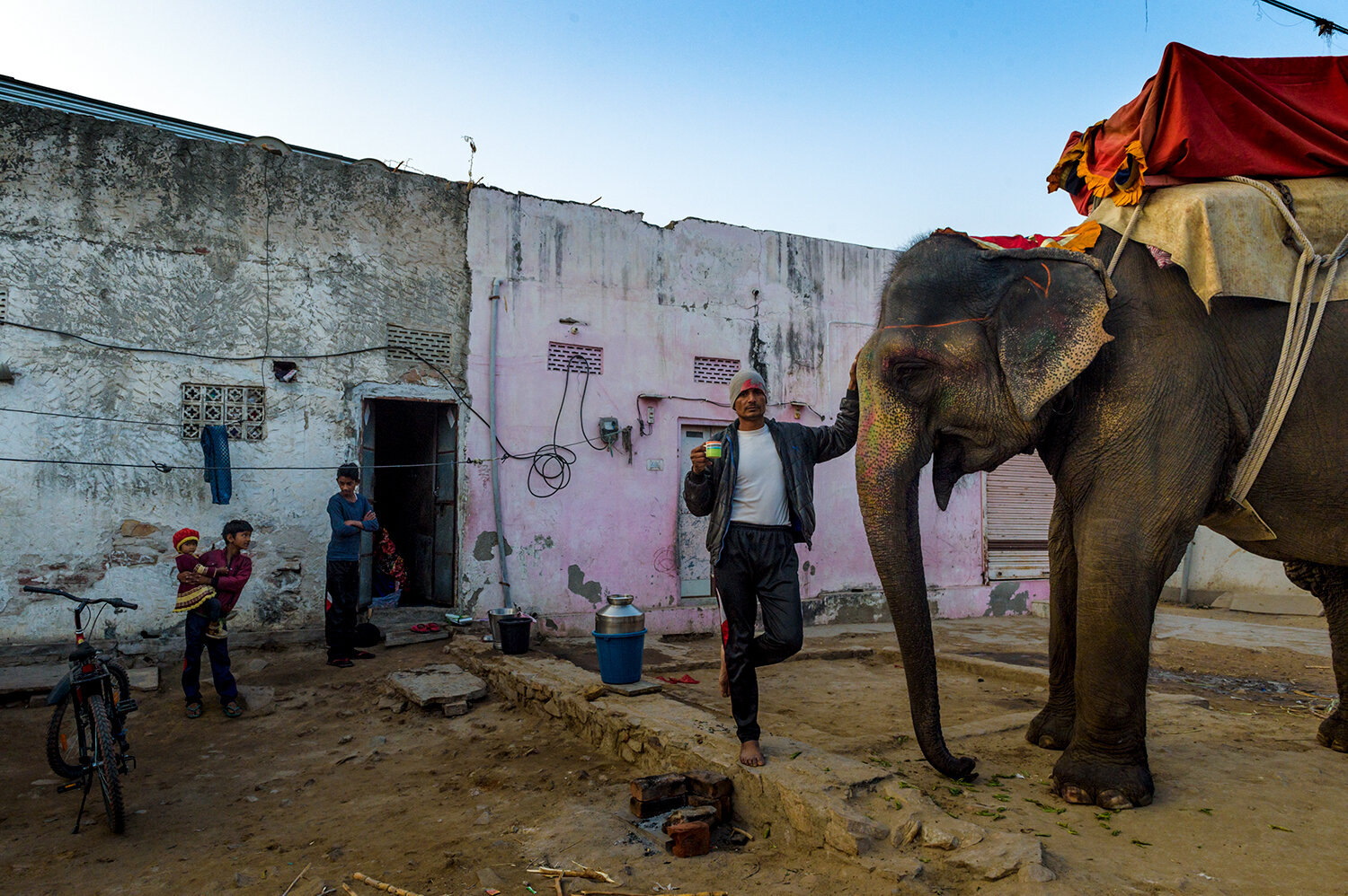WJaipur Elephants_2046.jpg