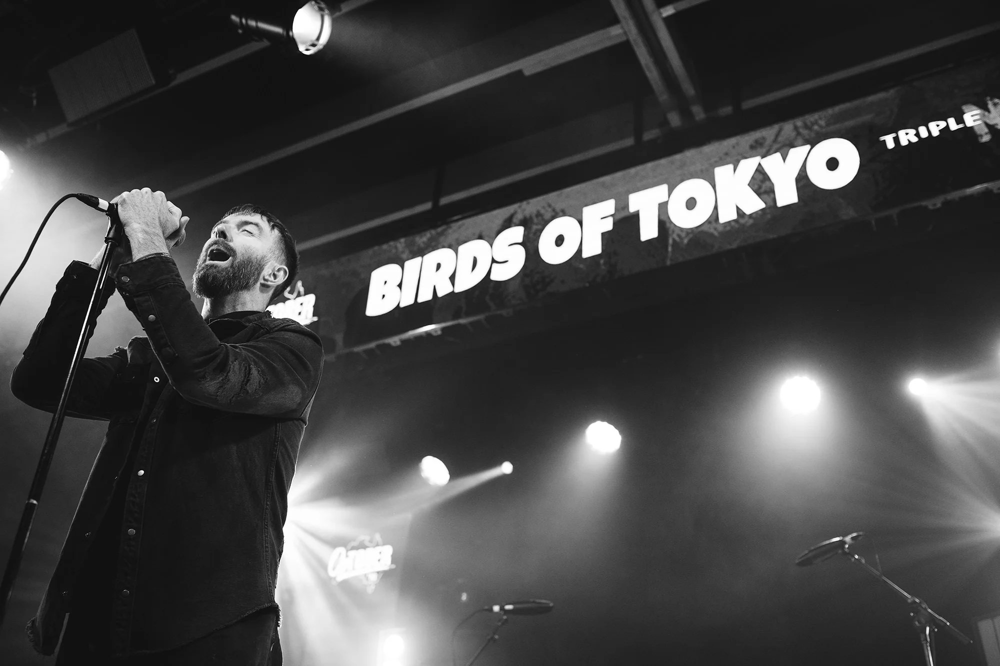 Birds Of Tokyo