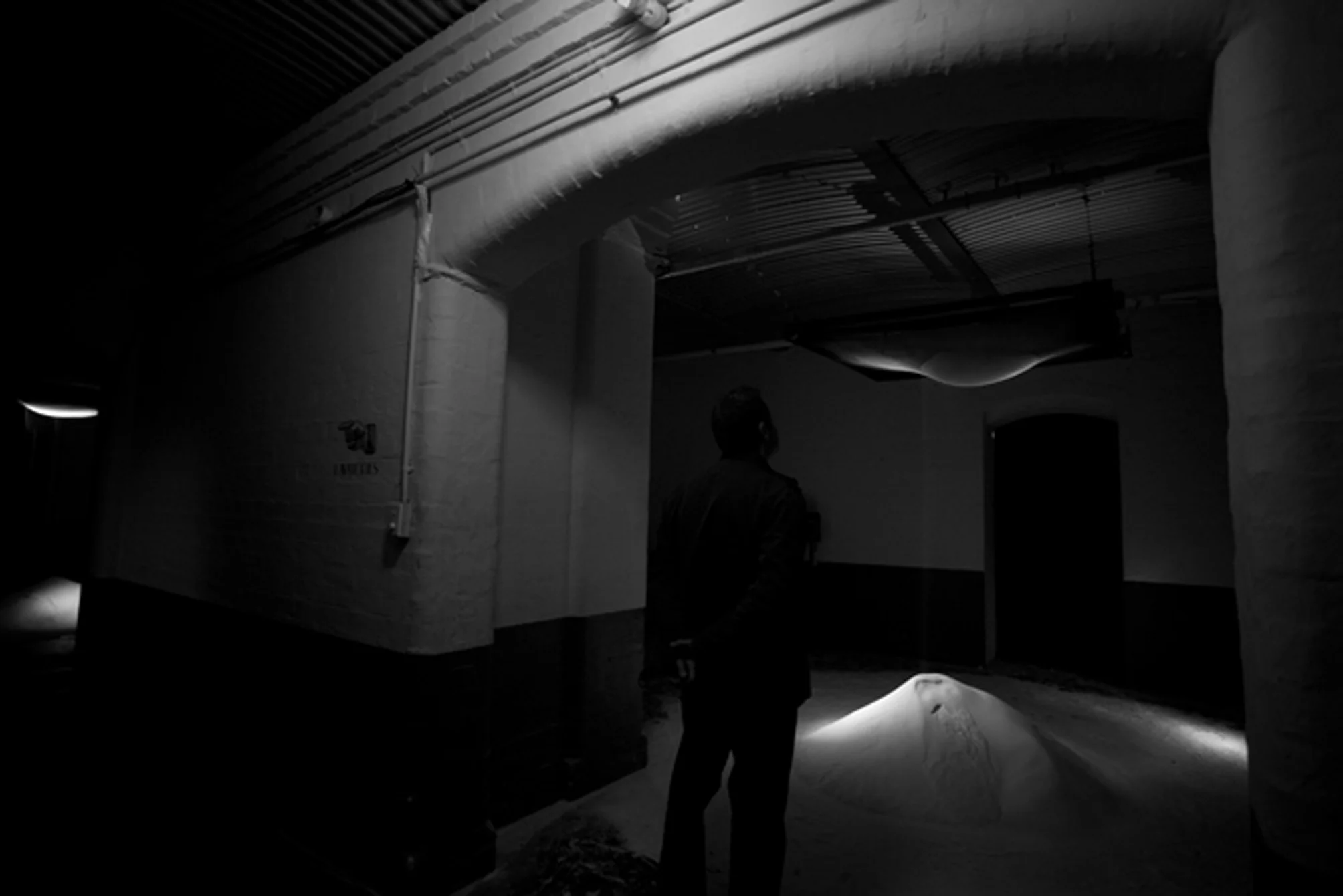 16 the lure of echo 6 VCA.jpg