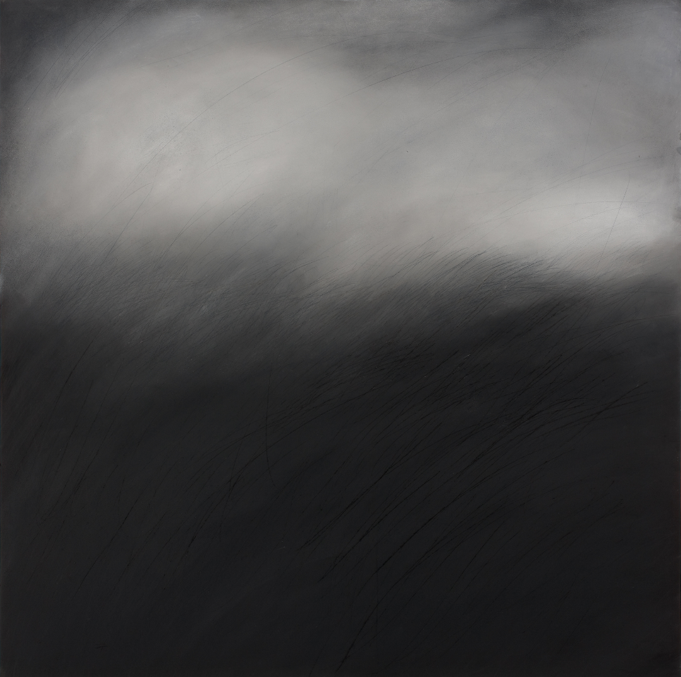   Field 1, 2008    Charoal and chalk on board 90 x 90cm  