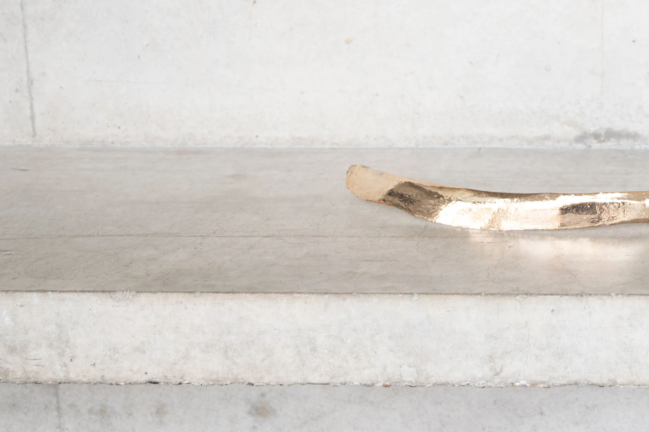 IMG_0705 adjusted crop 2.jpg