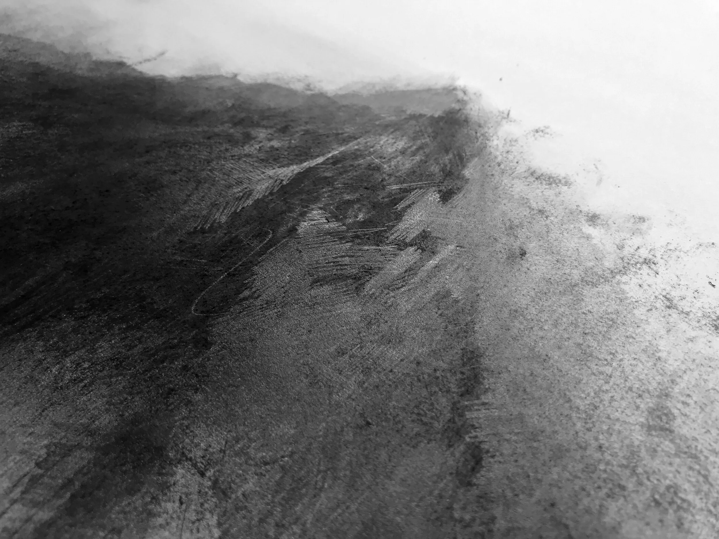 IMG_0545 detail darker.jpg
