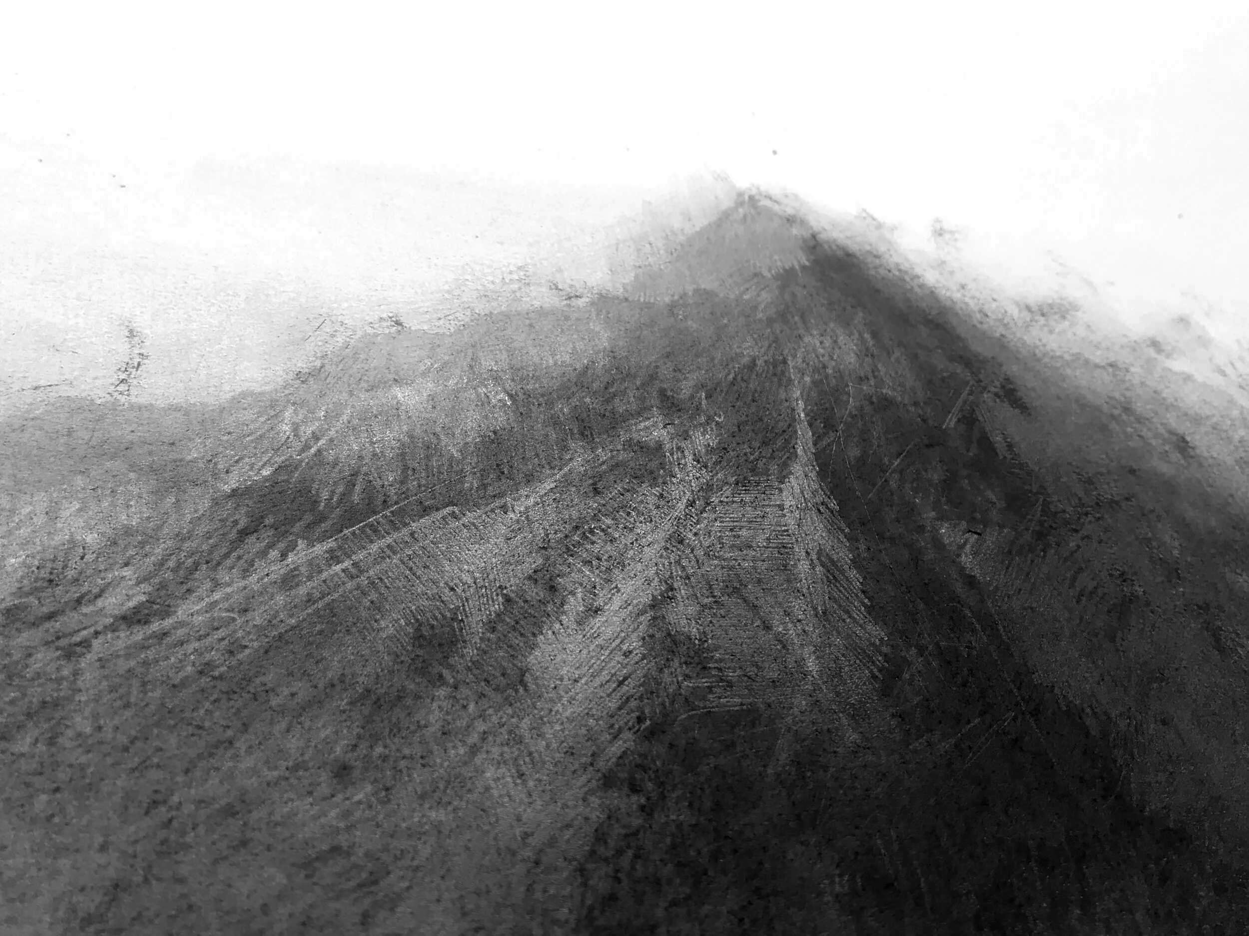 IMG_0553 cropped rotated.jpg