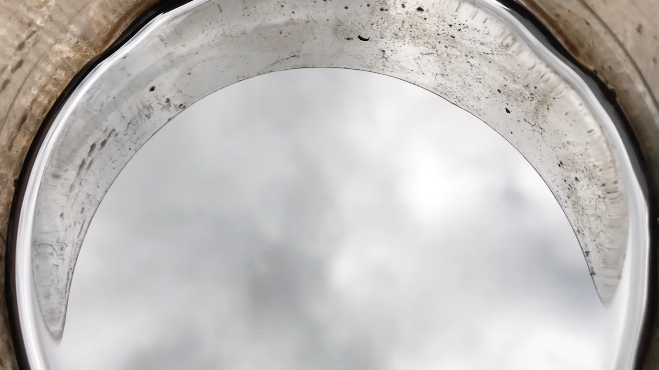 Geelong_Sarah Duyshart 5.png