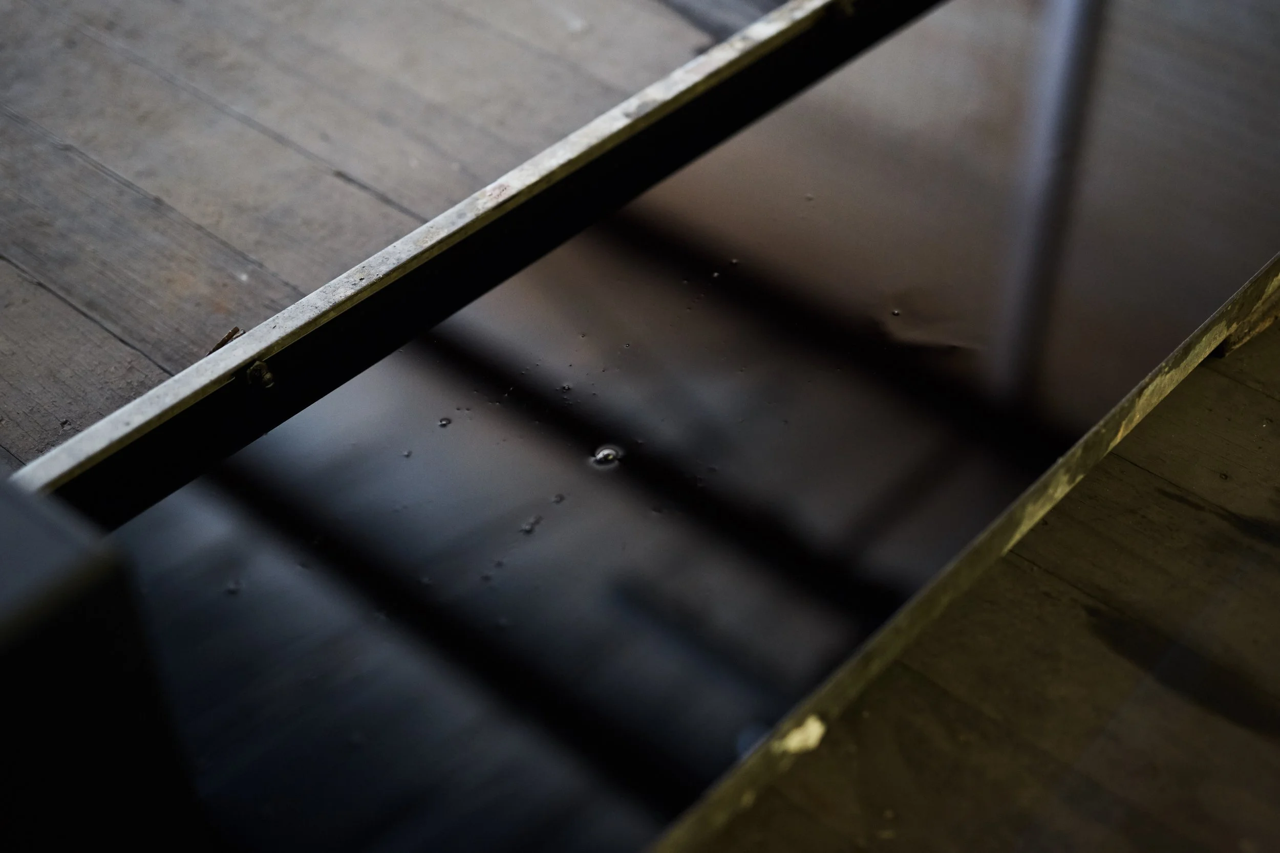 Geelong_Sarah Duyshart 1.jpg