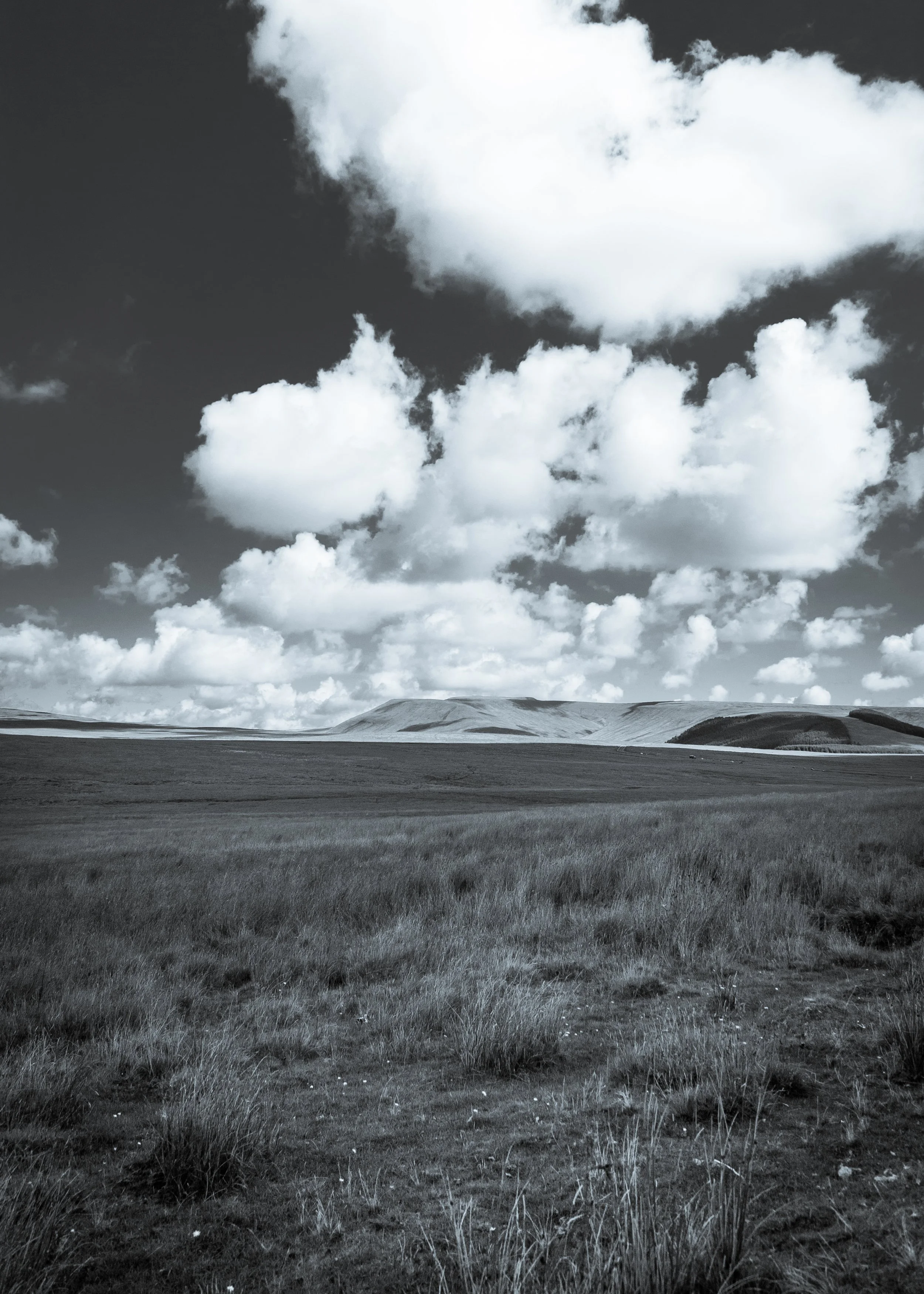 Brecon