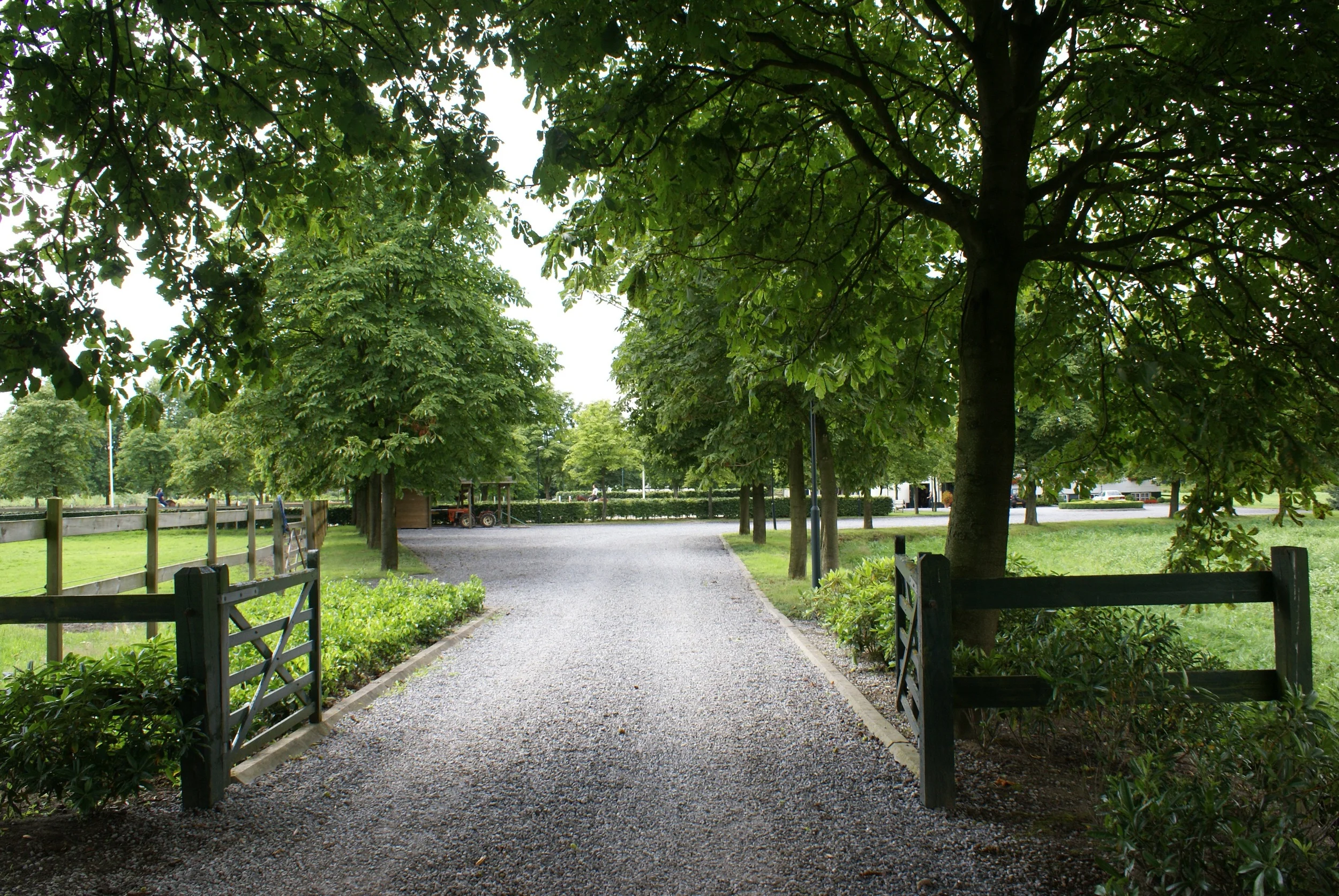 DSC01024.jpg