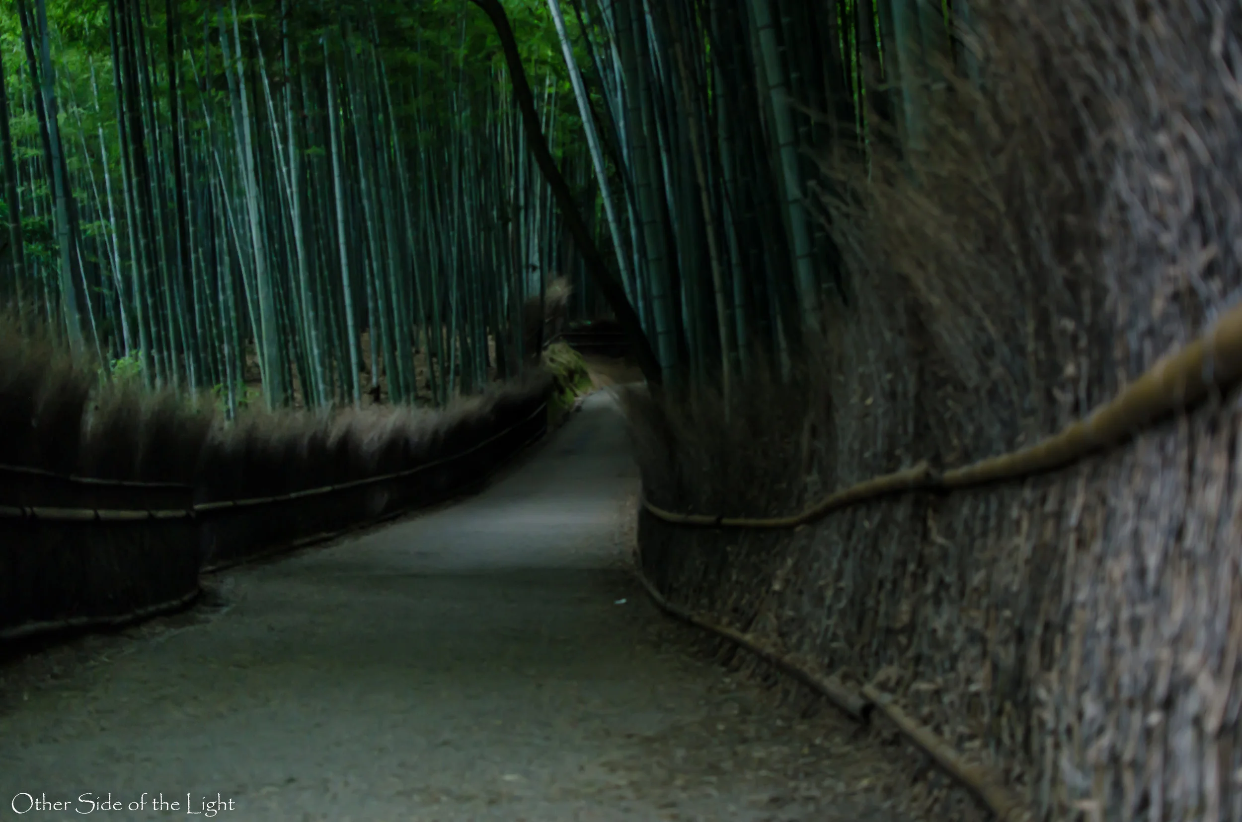   Kyoto, Japan  