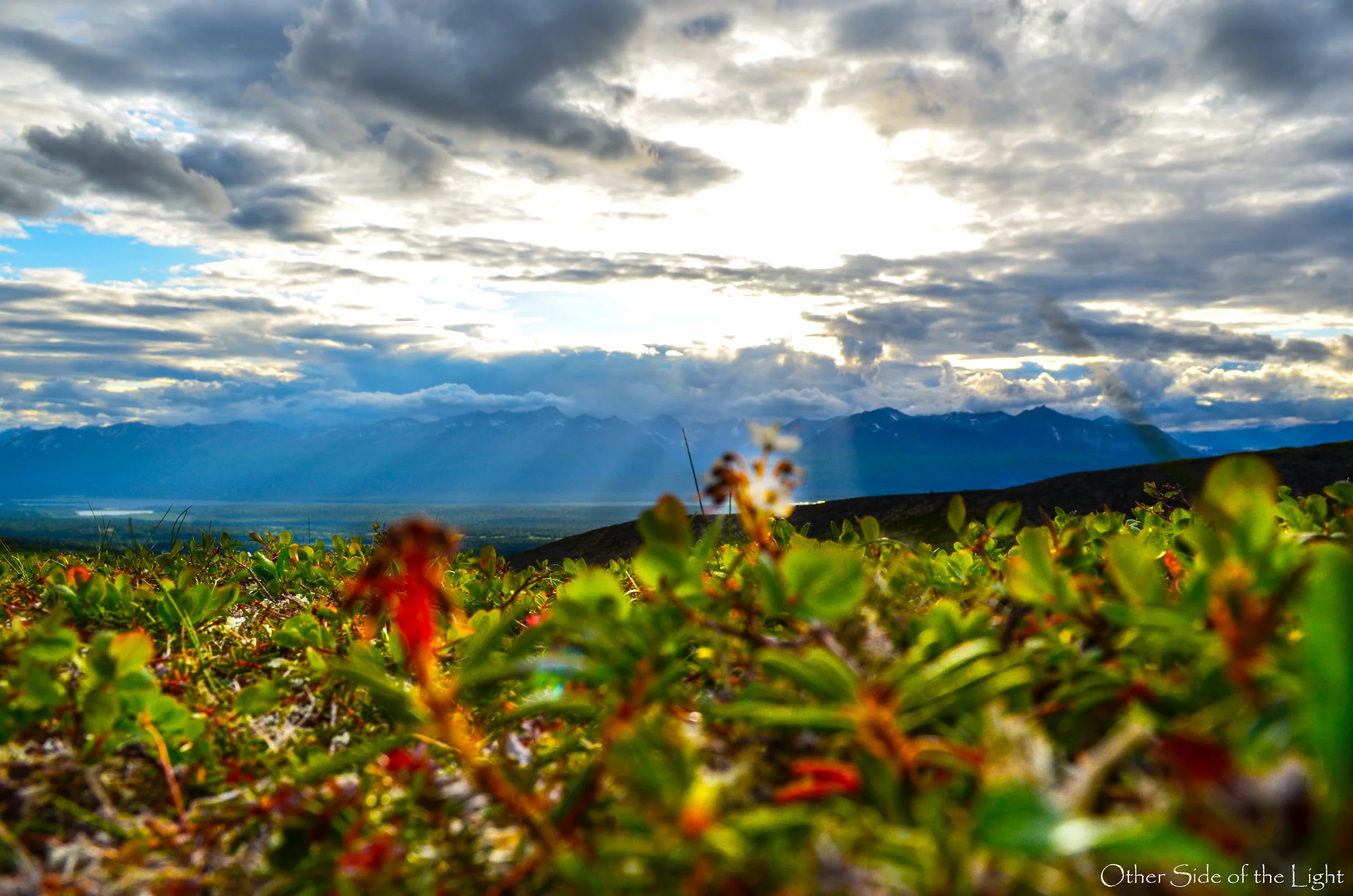 Alaska-1.JPG